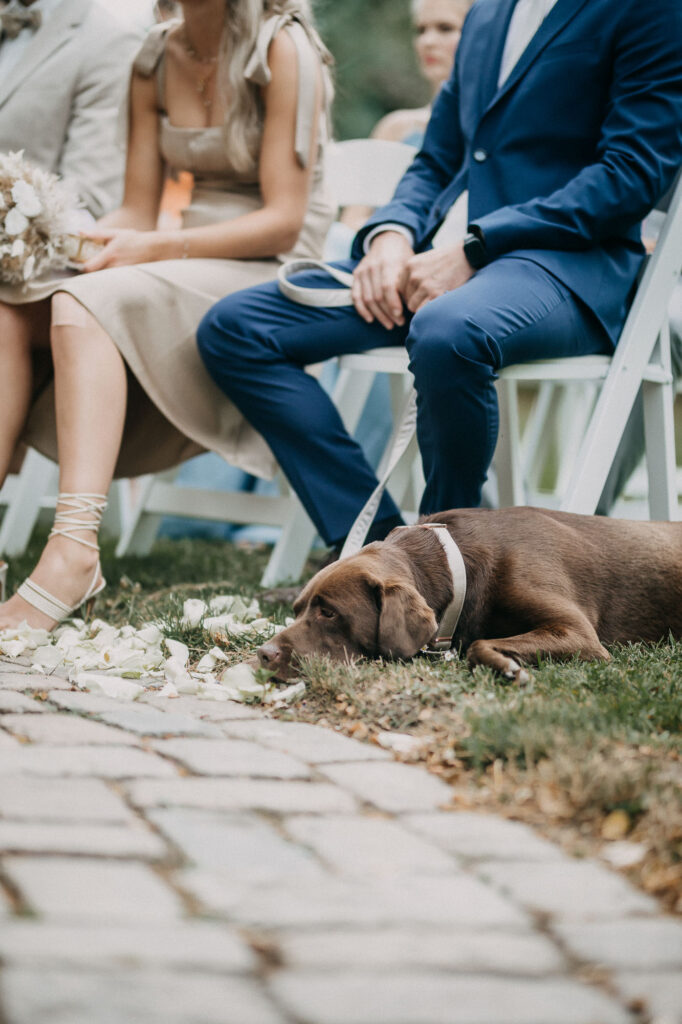 Heiraten im Schloss Diedersdorf 131A4258 2