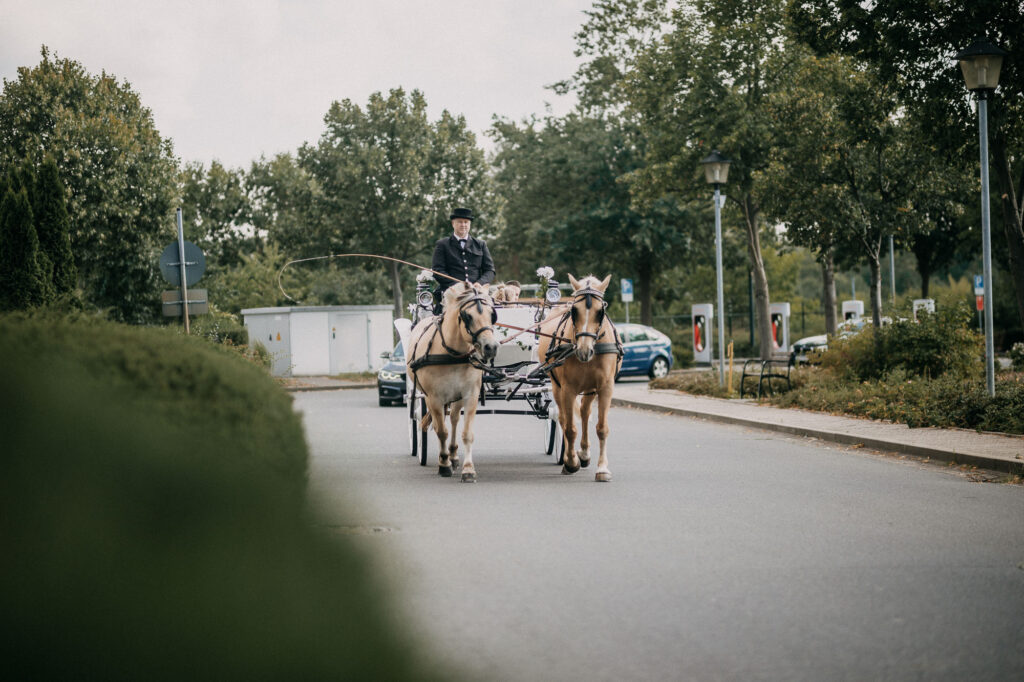 Heiraten im Schloss Diedersdorf 131A4794 2