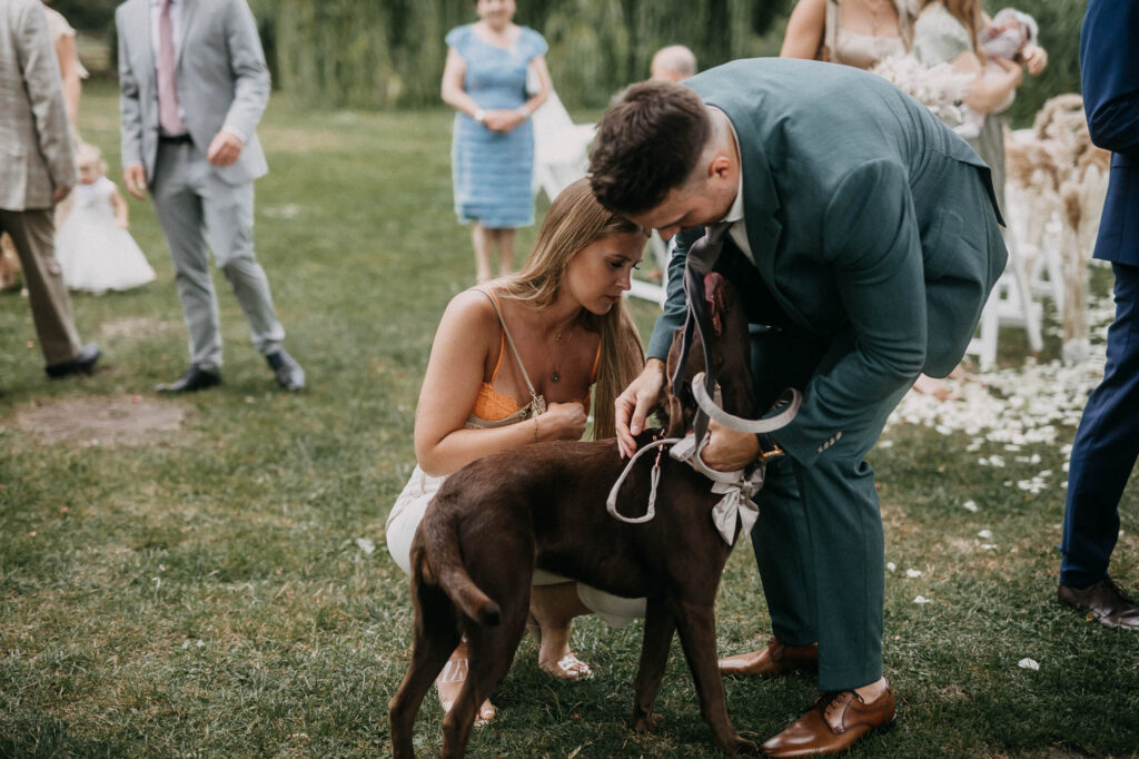 Heiraten im Schloss Diedersdorf 1S8A4550 2