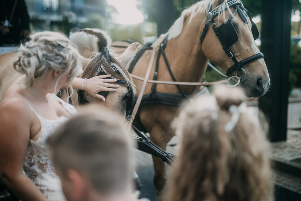 Heiraten im Schloss Diedersdorf 1S8A5239 2