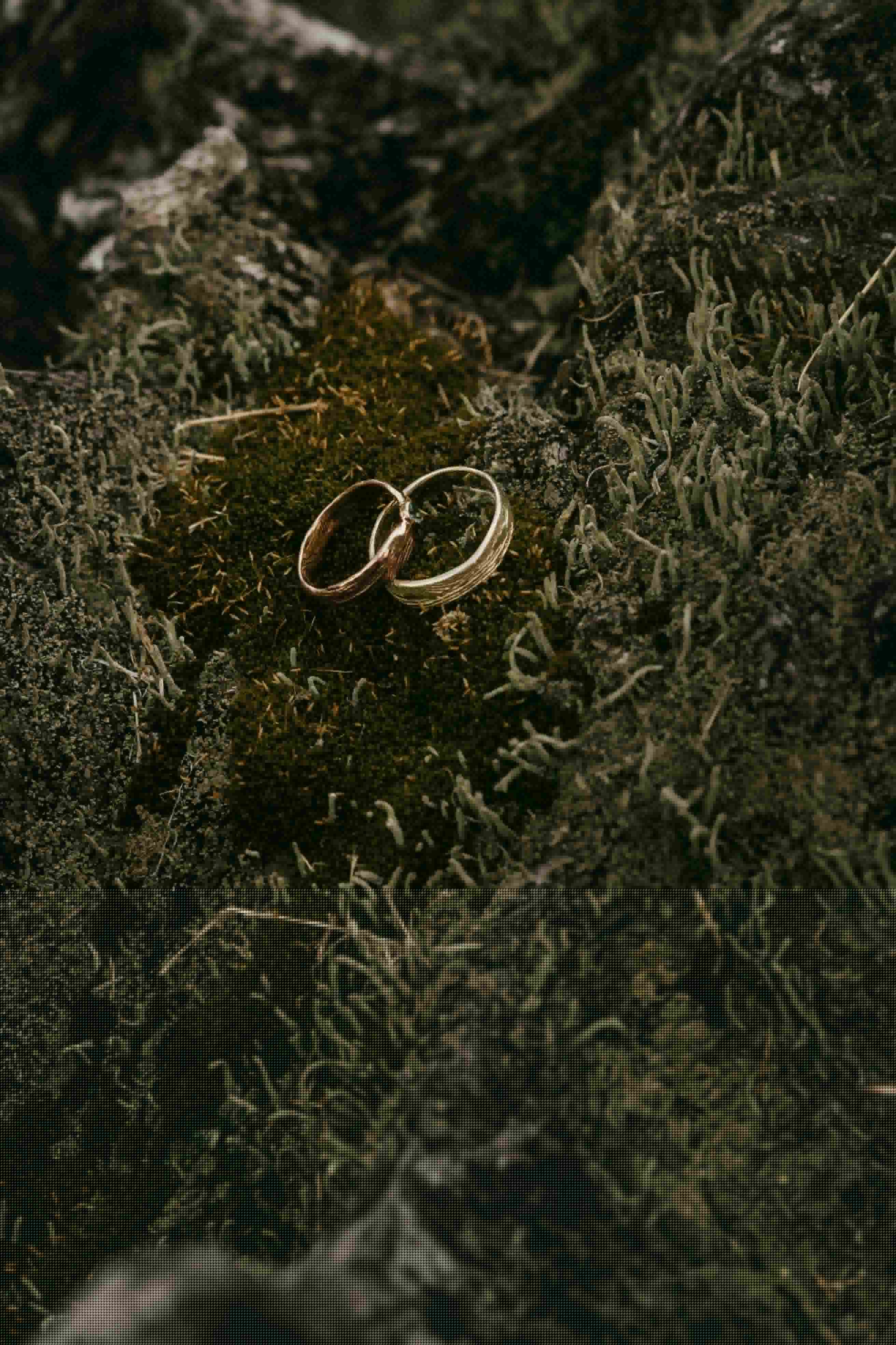 Heiraten im Landgut Liepe 11 Heiraten im Landgut Liepe 11