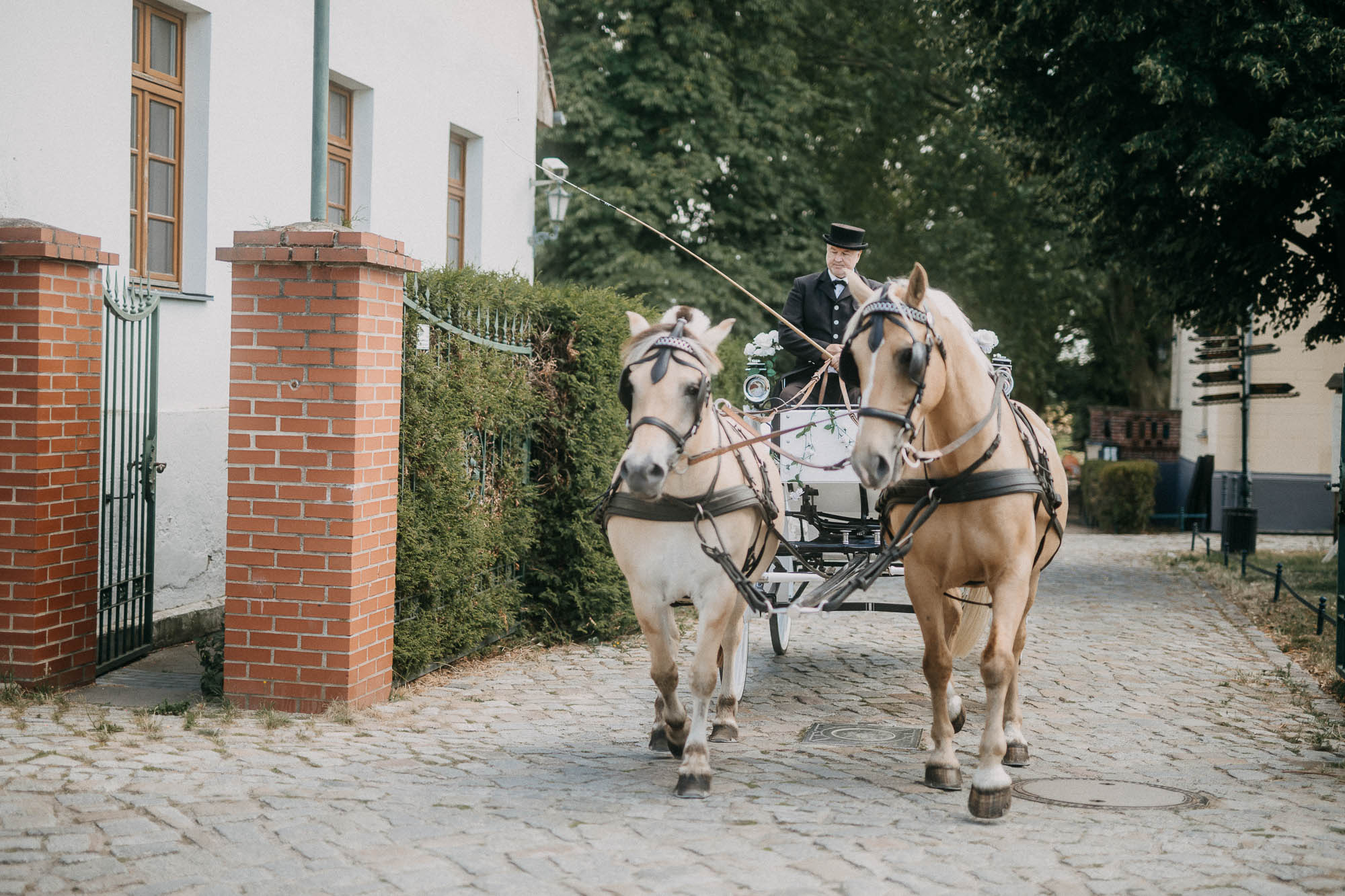 Heiraten im Schloss Diedersdorf 1S8A5205 2 Heiraten im Schloss Diedersdorf 1S8A5205 2