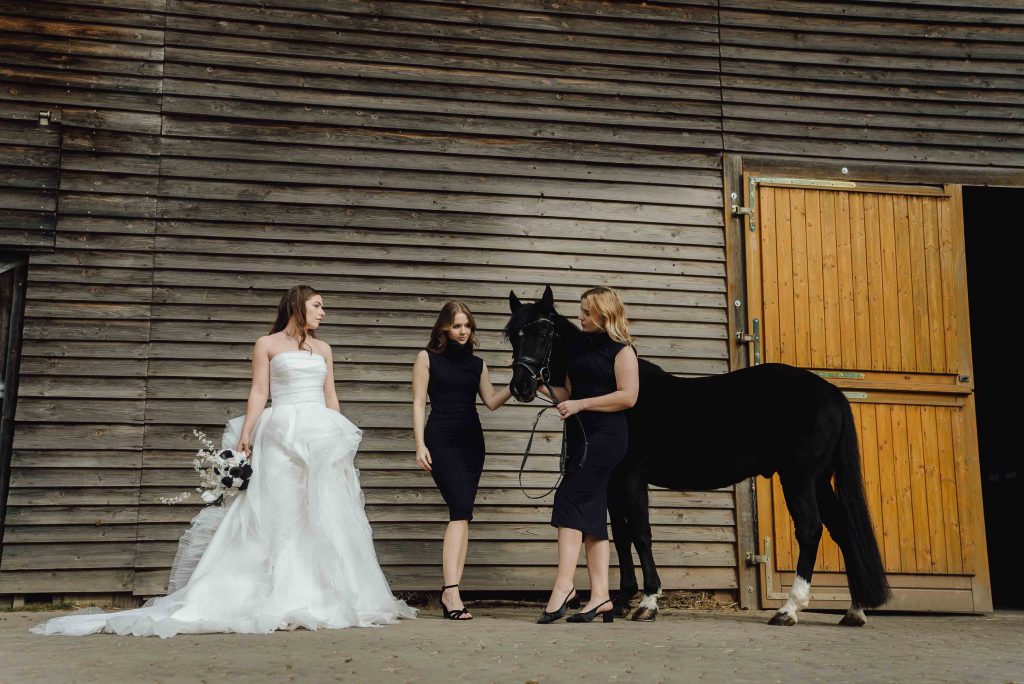 Heiraten mit Pferd 213