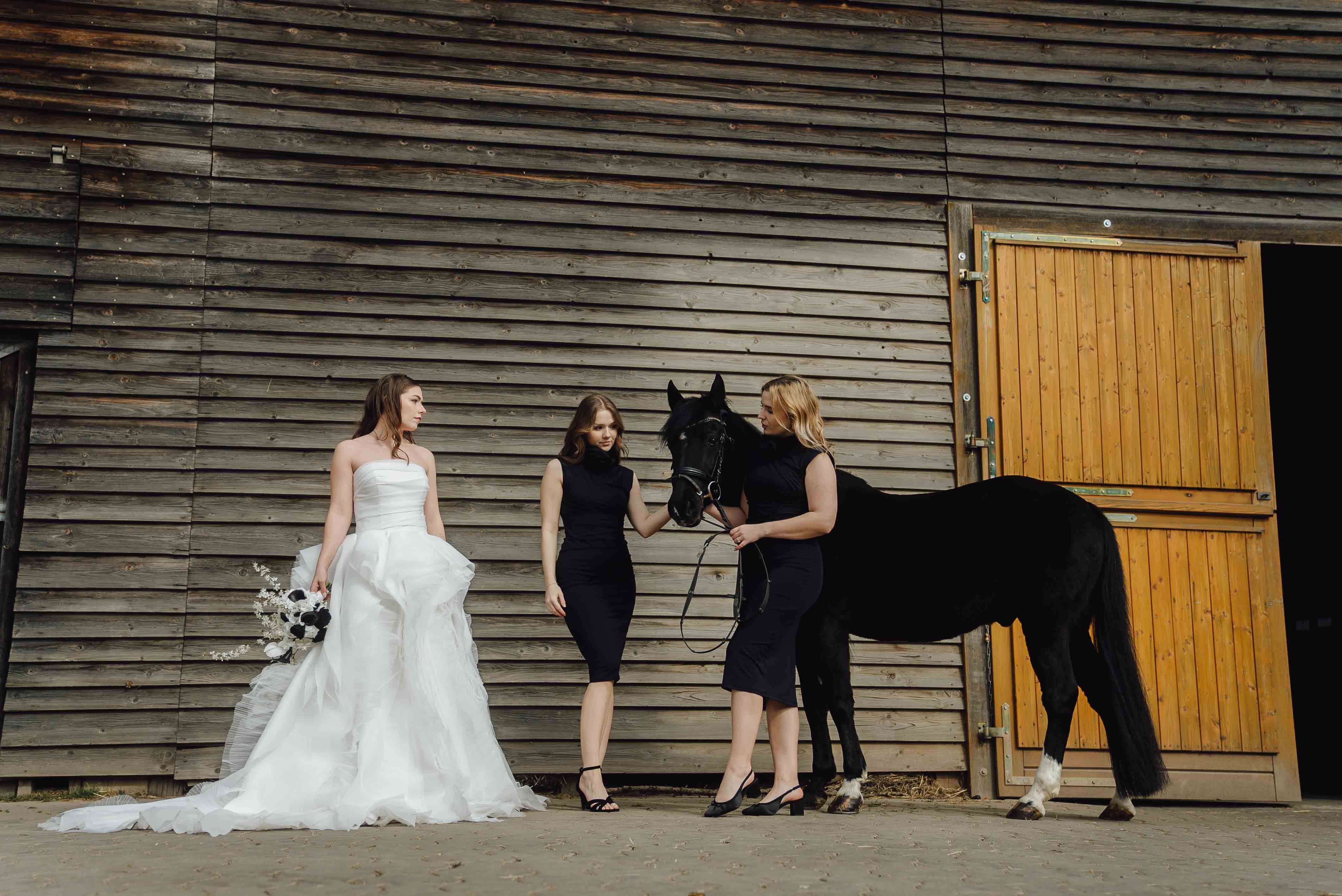 Heiraten mit Pferd 213 Heiraten mit Pferd 213