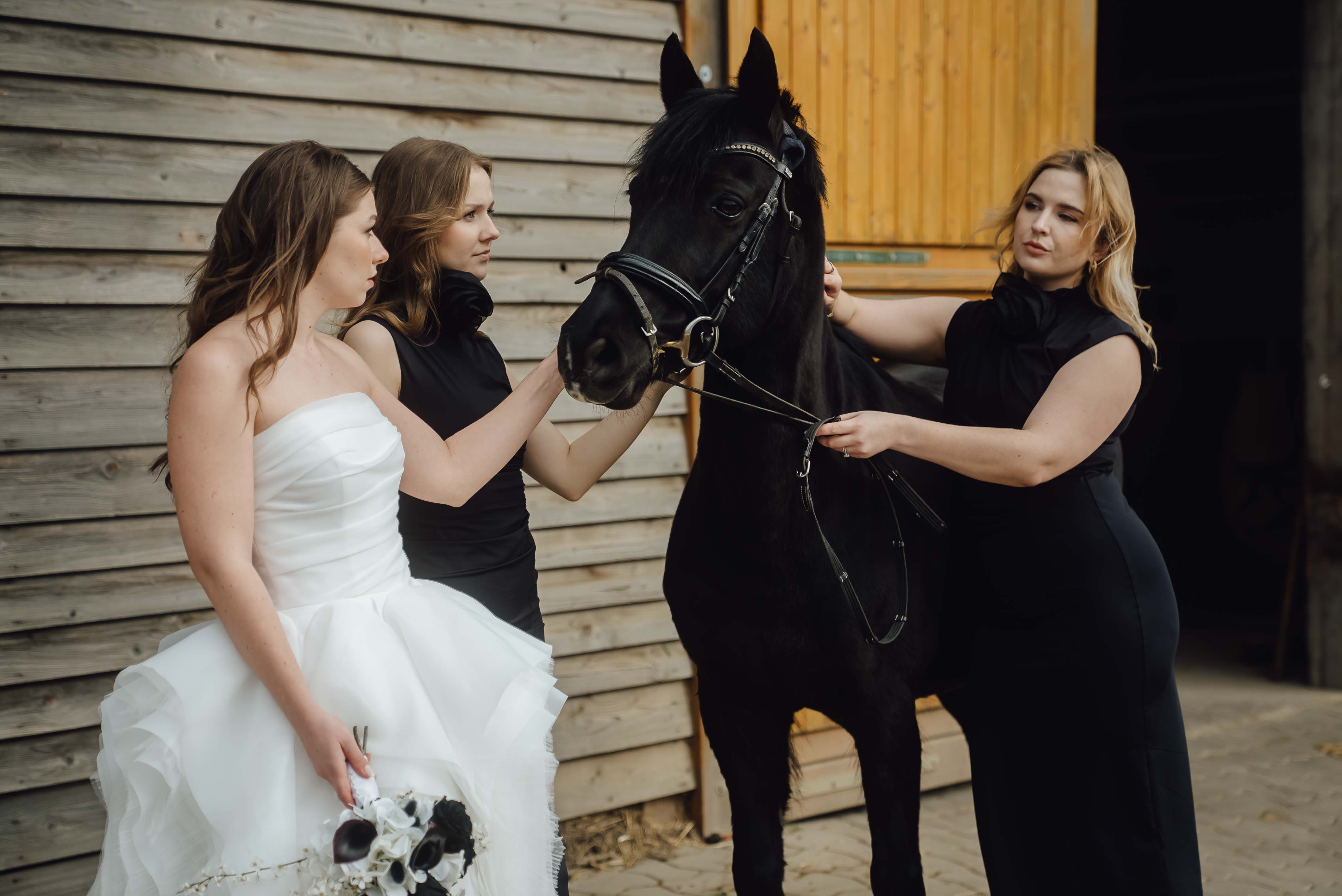 Heiraten mit Pferd 216 Heiraten mit Pferd 216