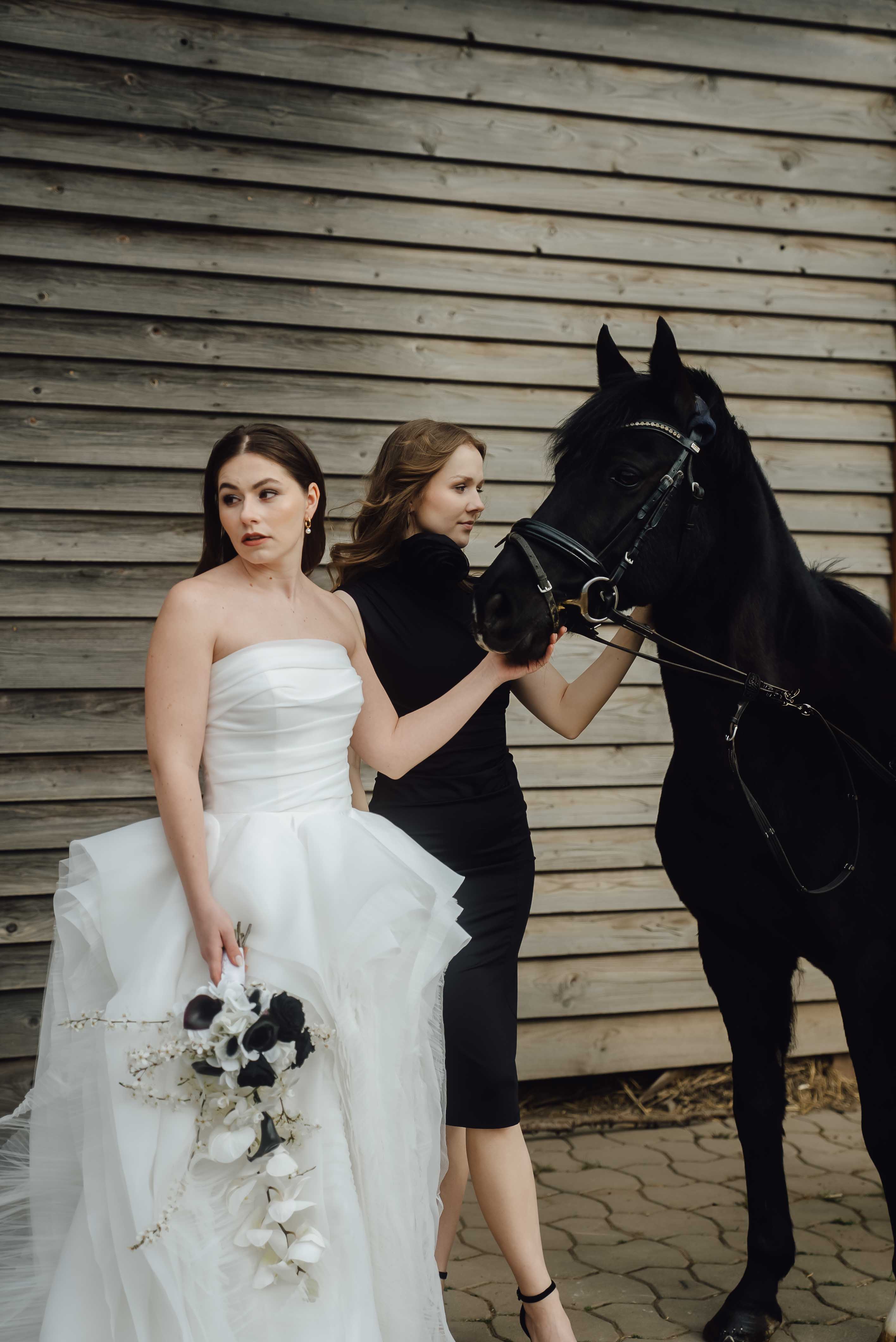Heiraten mit Pferd 217 Heiraten mit Pferd 217