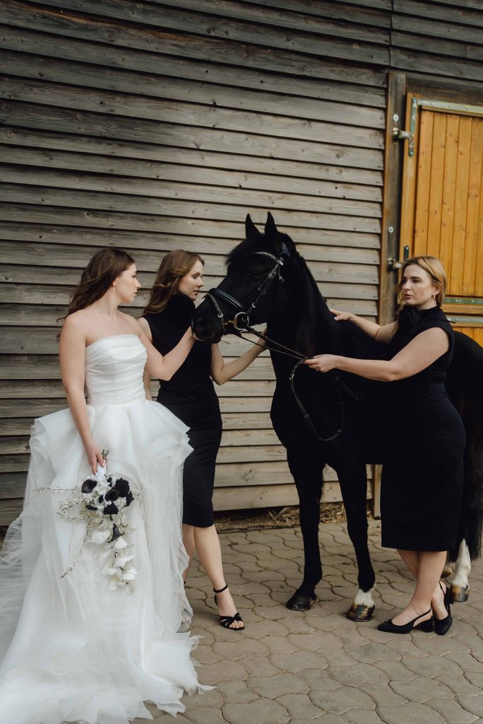 Heiraten mit Pferd 218