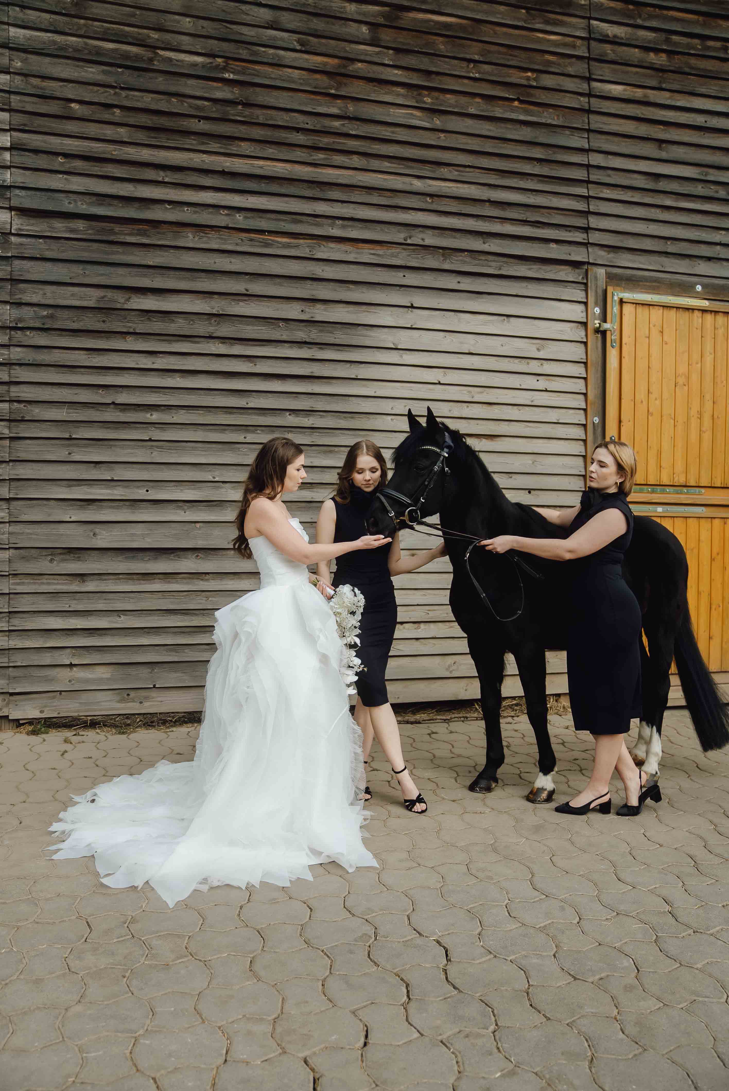 Heiraten mit Pferd 219 Heiraten mit Pferd 219
