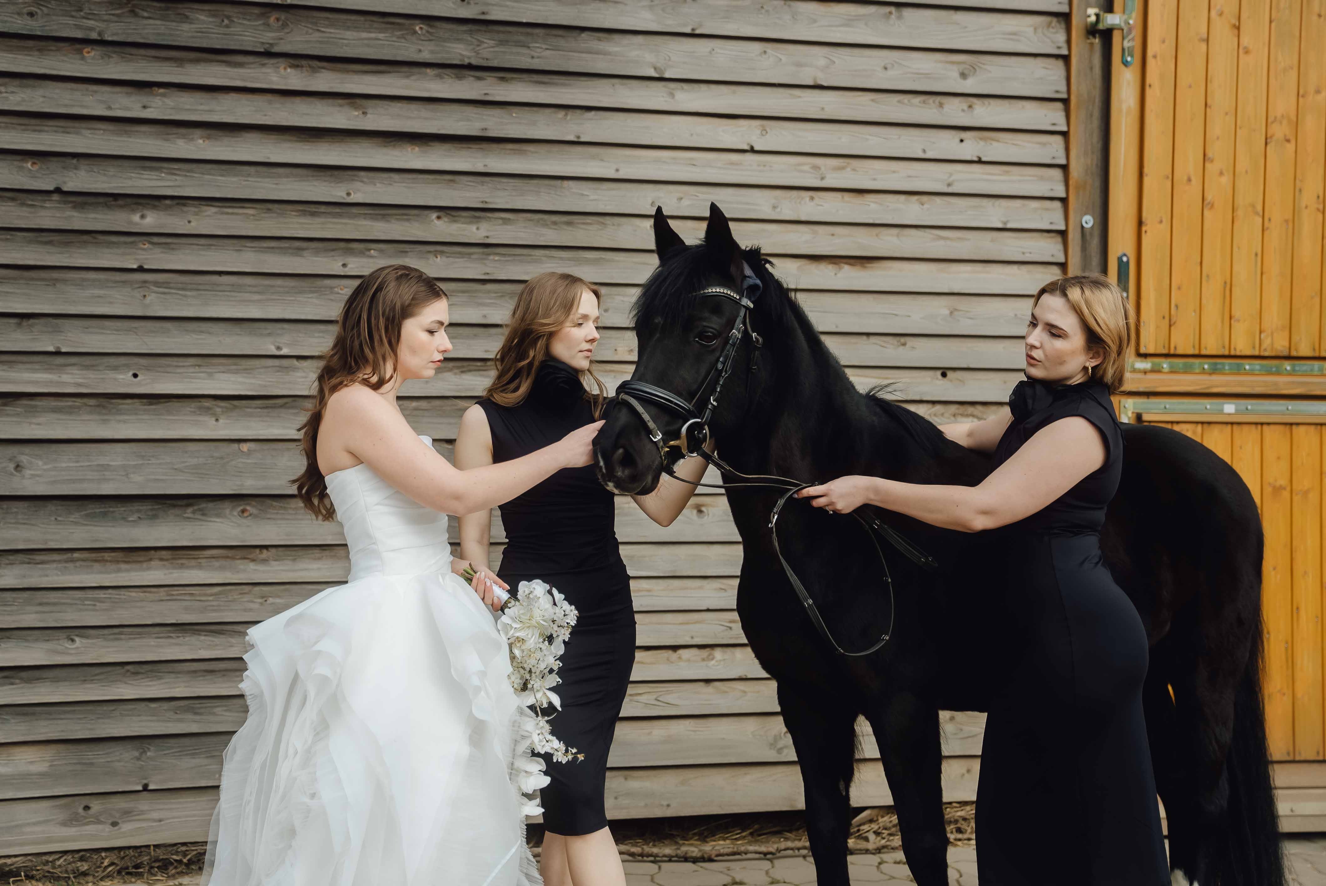 Heiraten mit Pferd 220 Heiraten mit Pferd 220