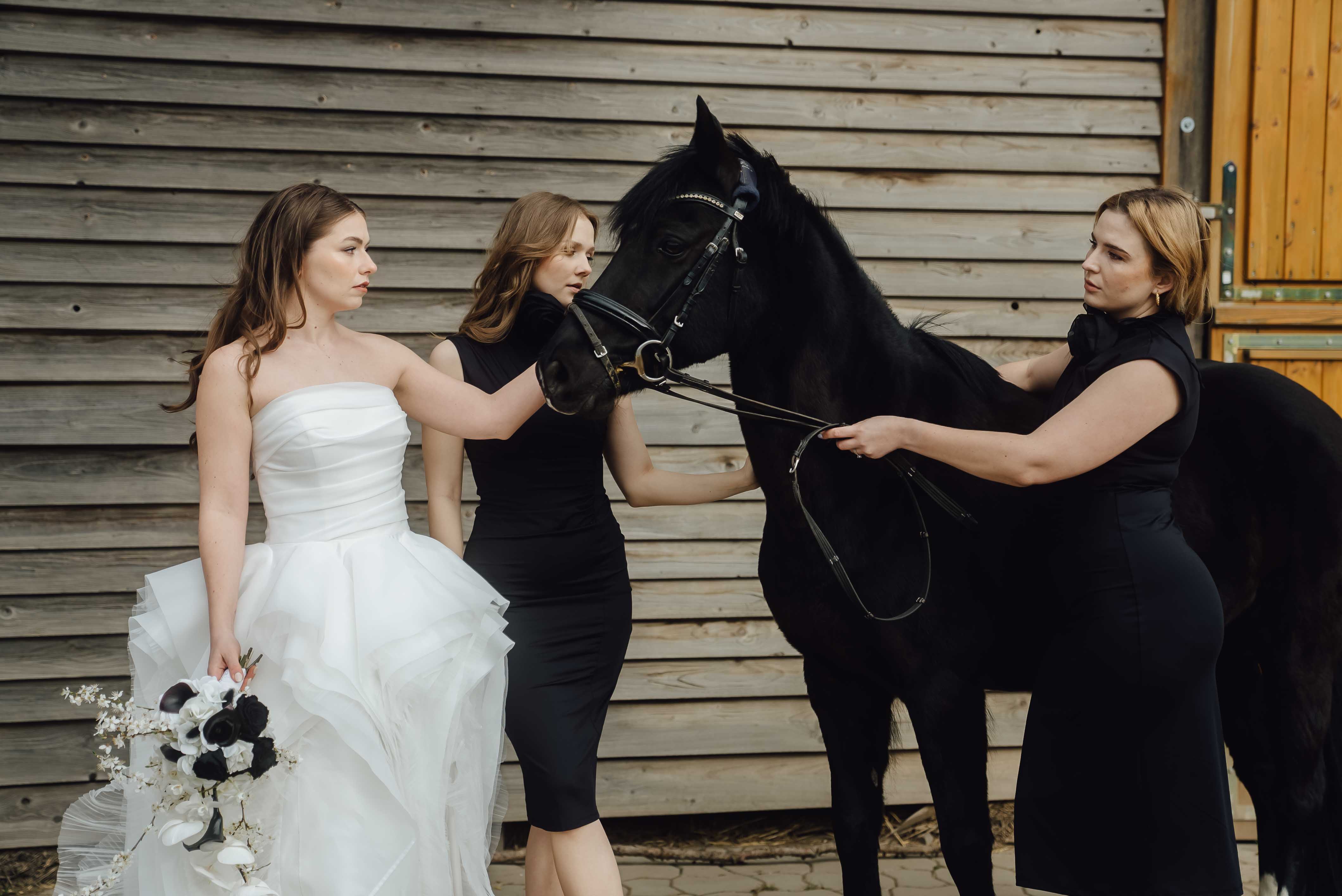 Heiraten mit Pferd 221 Heiraten mit Pferd 221