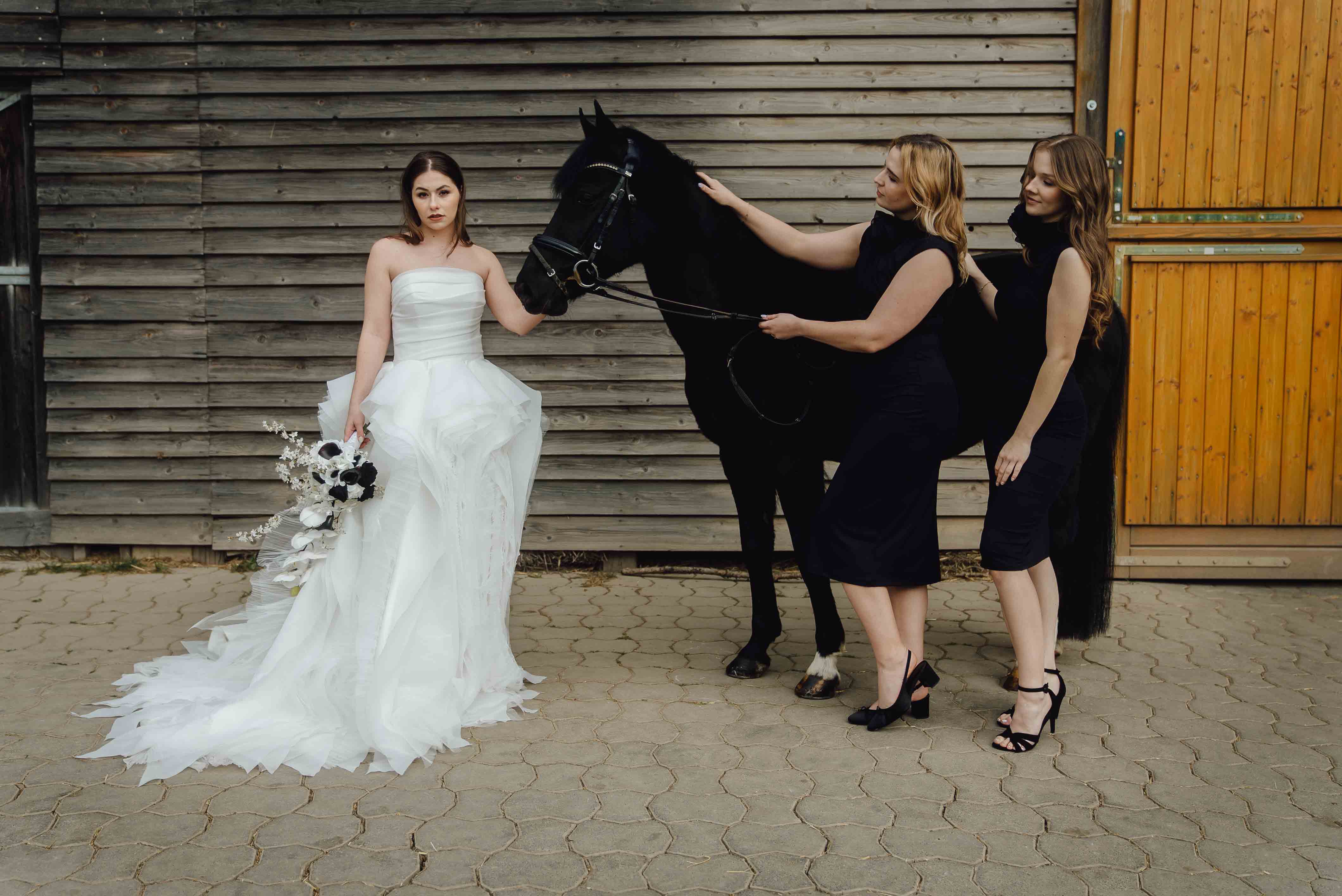 Heiraten mit Pferd 228 Heiraten mit Pferd 228