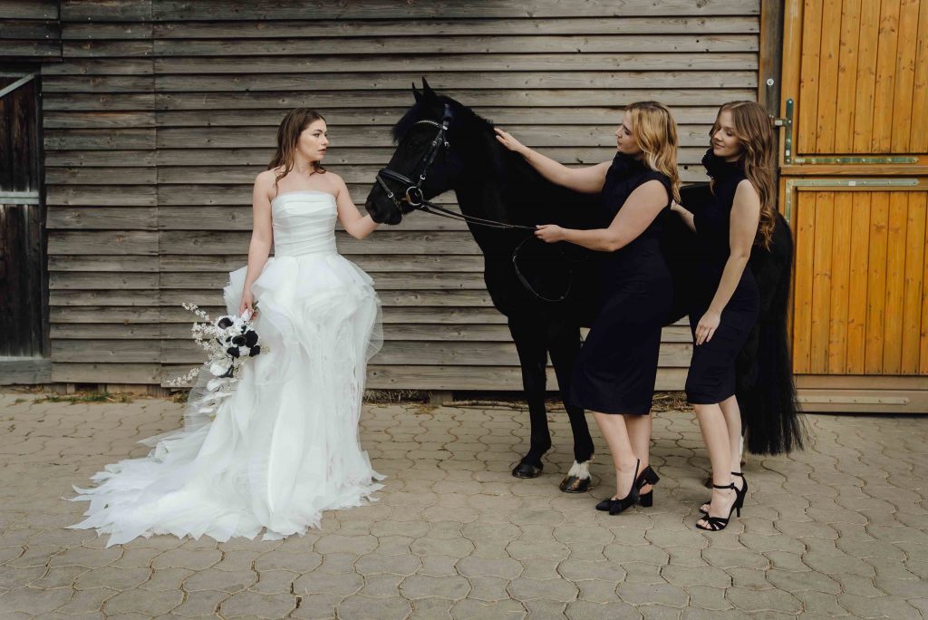 Heiraten mit Pferd 229