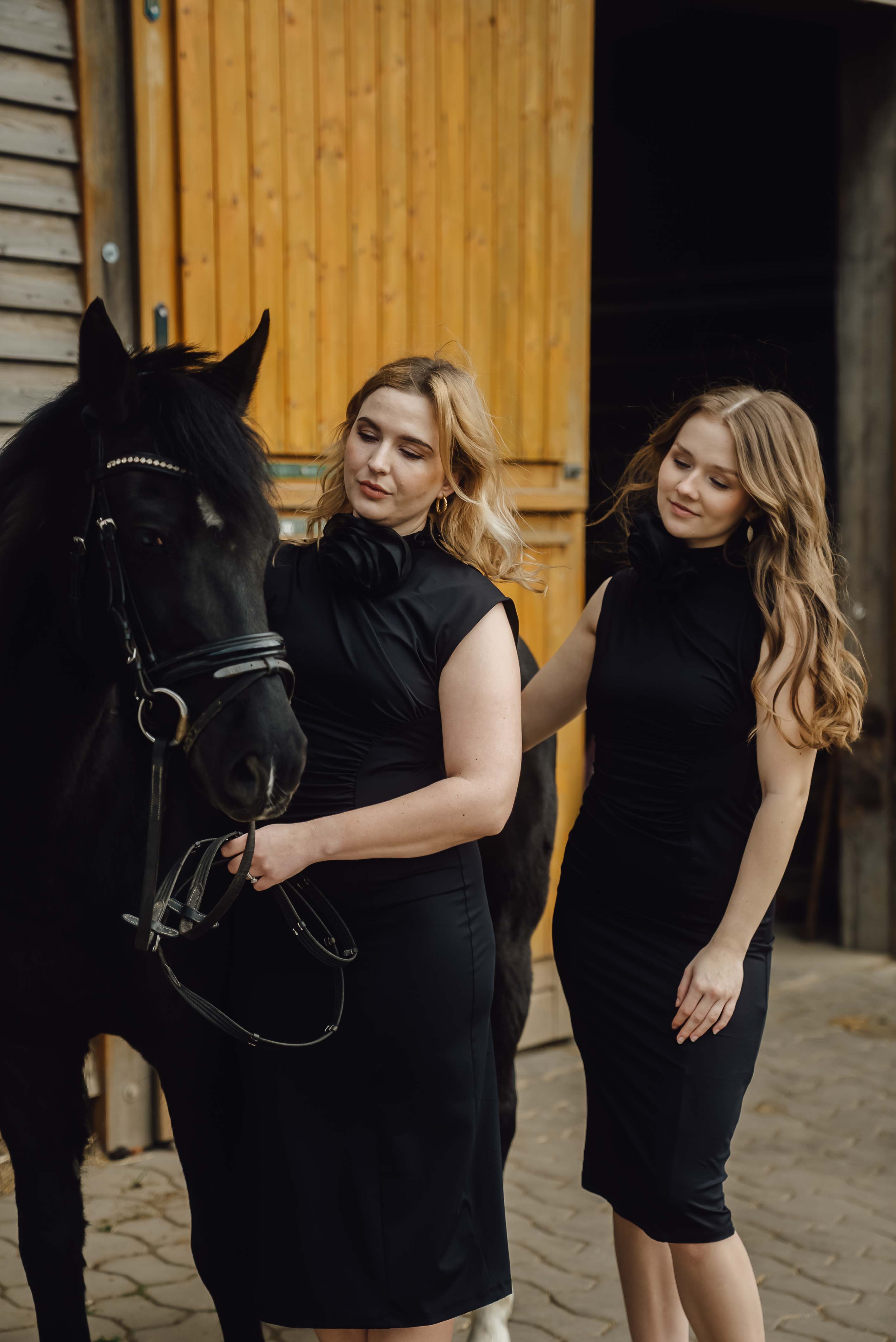 Heiraten mit Pferd 230 Heiraten mit Pferd 230