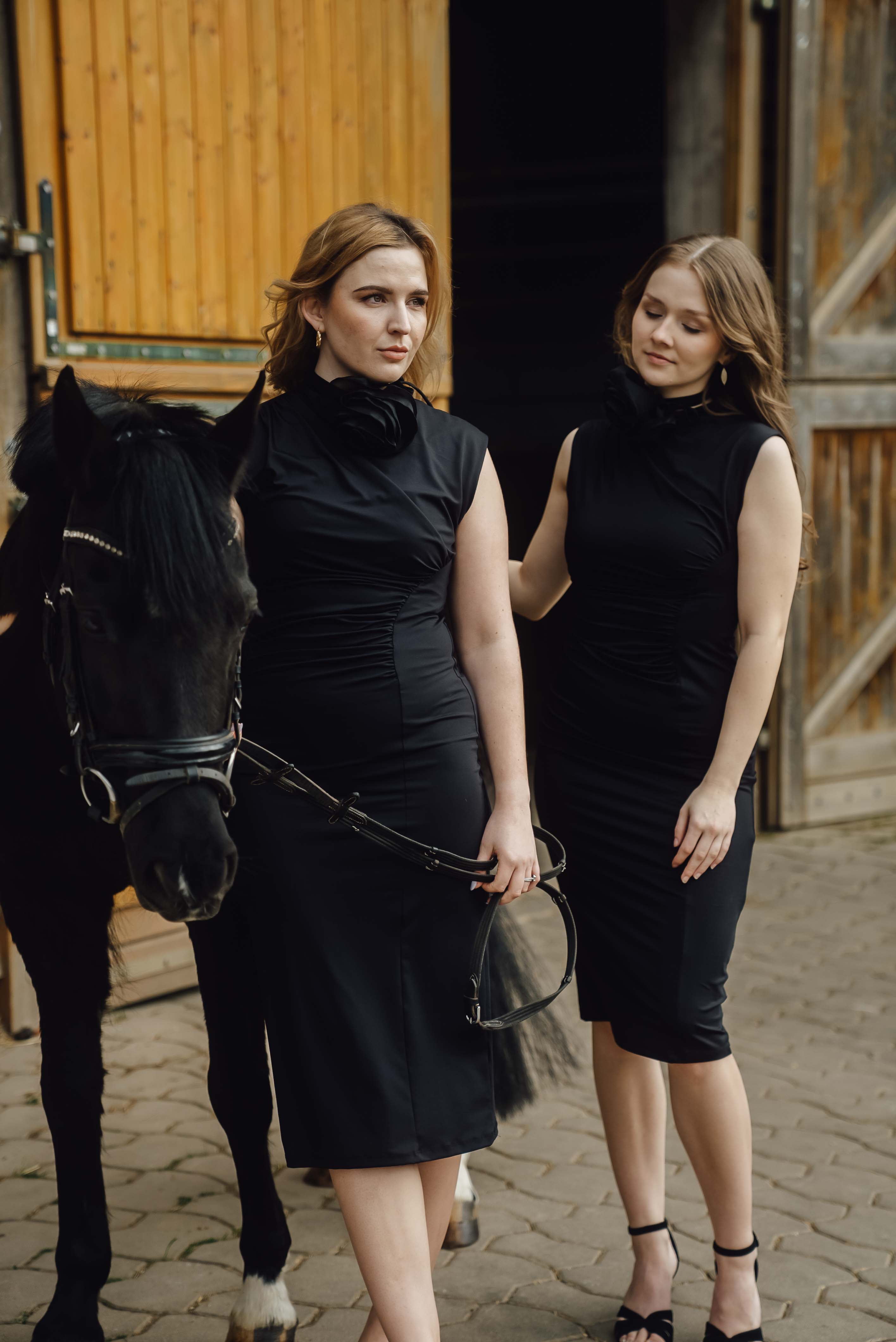 Heiraten mit Pferd 231 Heiraten mit Pferd 231
