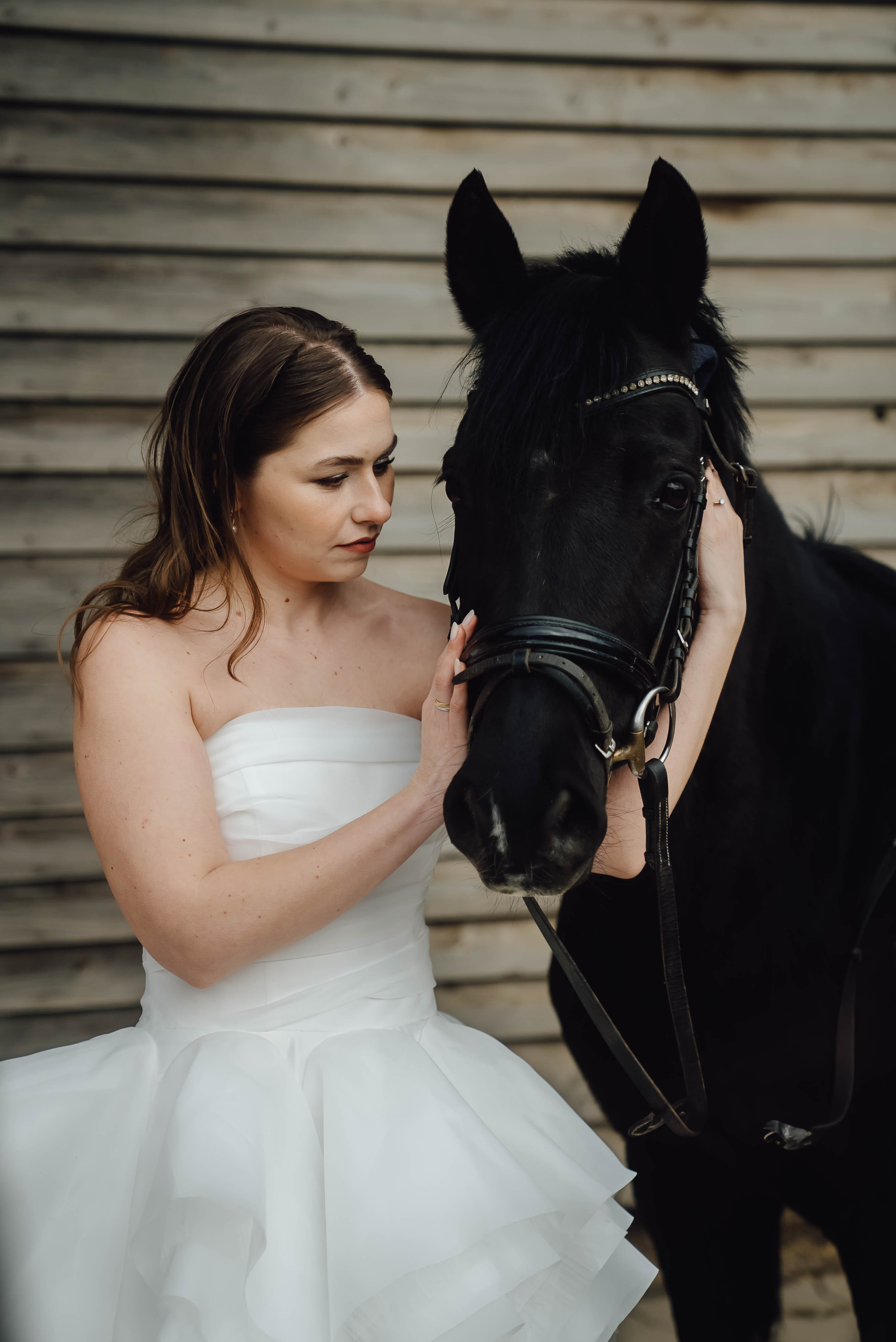 Heiraten mit Pferd 232 Heiraten mit Pferd 232