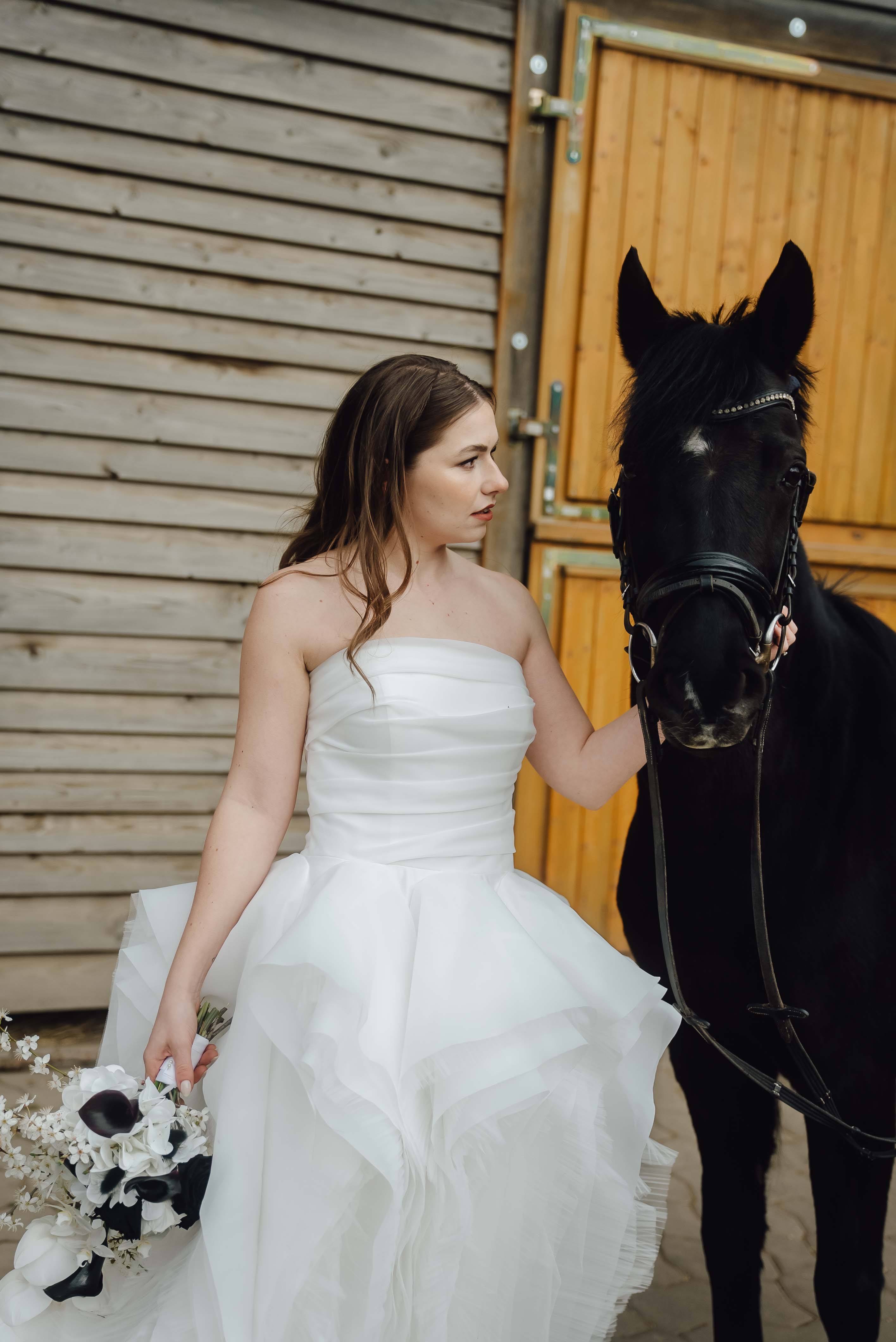 Heiraten mit Pferd 240 Heiraten mit Pferd 240