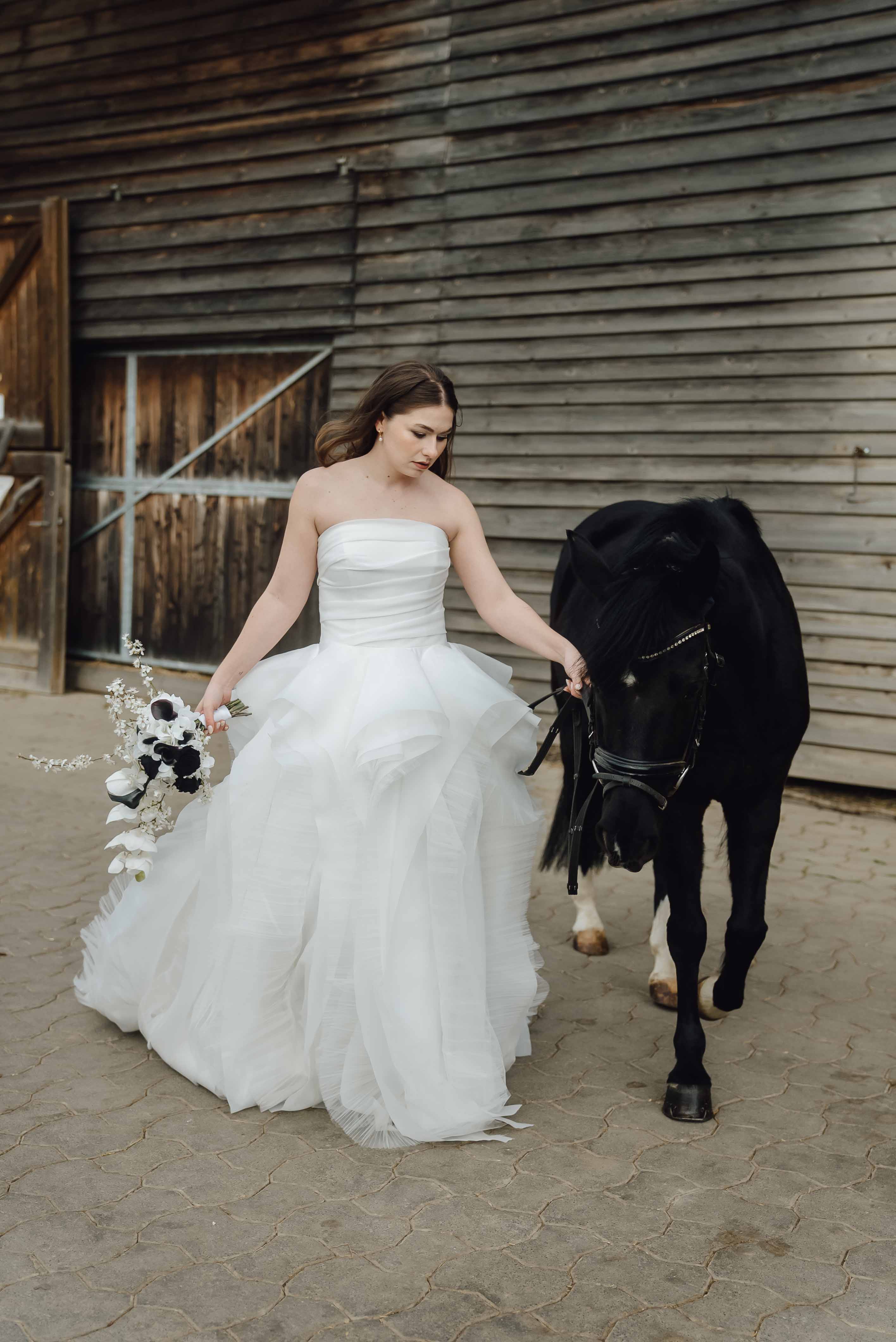 Heiraten mit Pferd 243 Heiraten mit Pferd 243