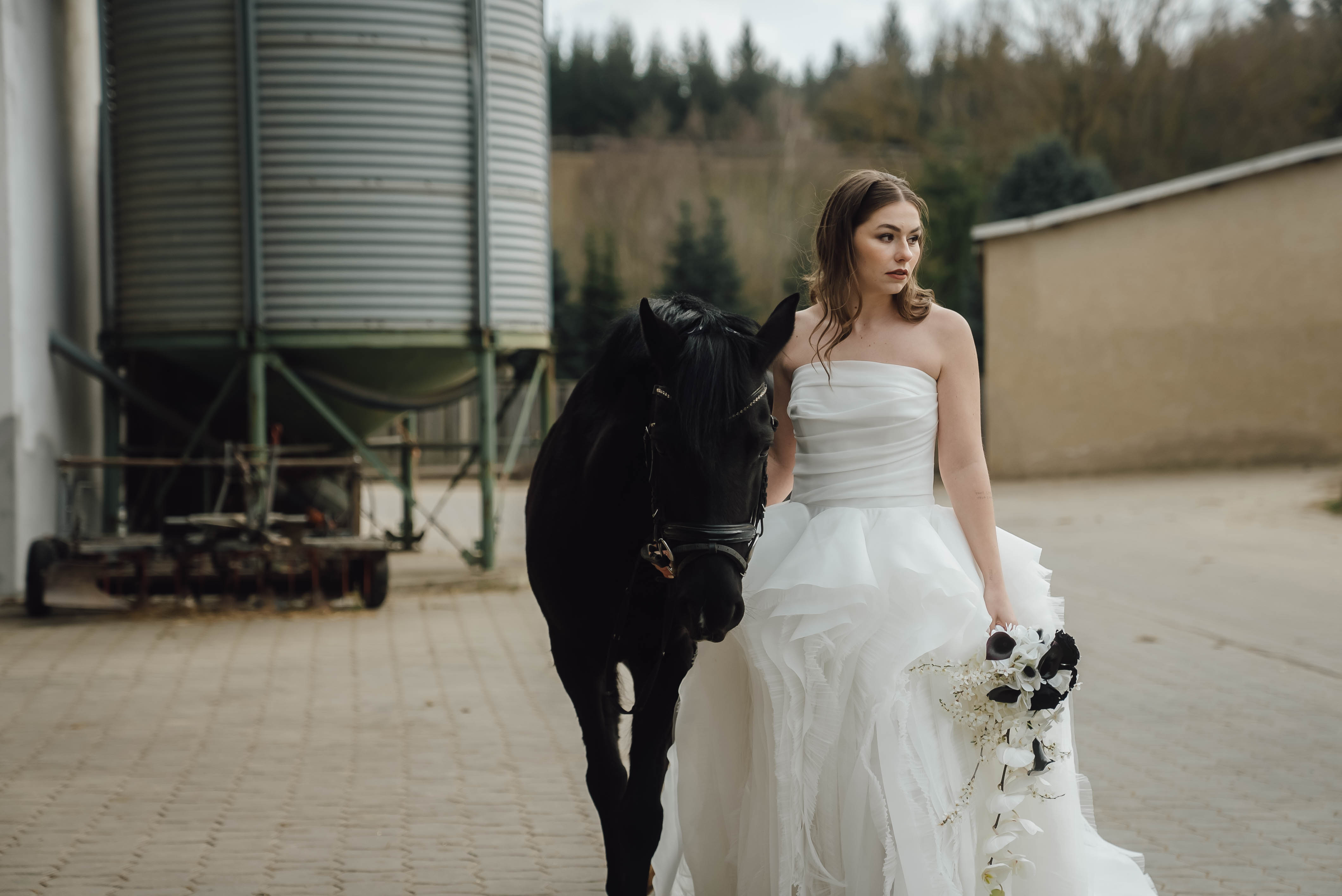 Heiraten mit Pferd 244 Heiraten mit Pferd 244