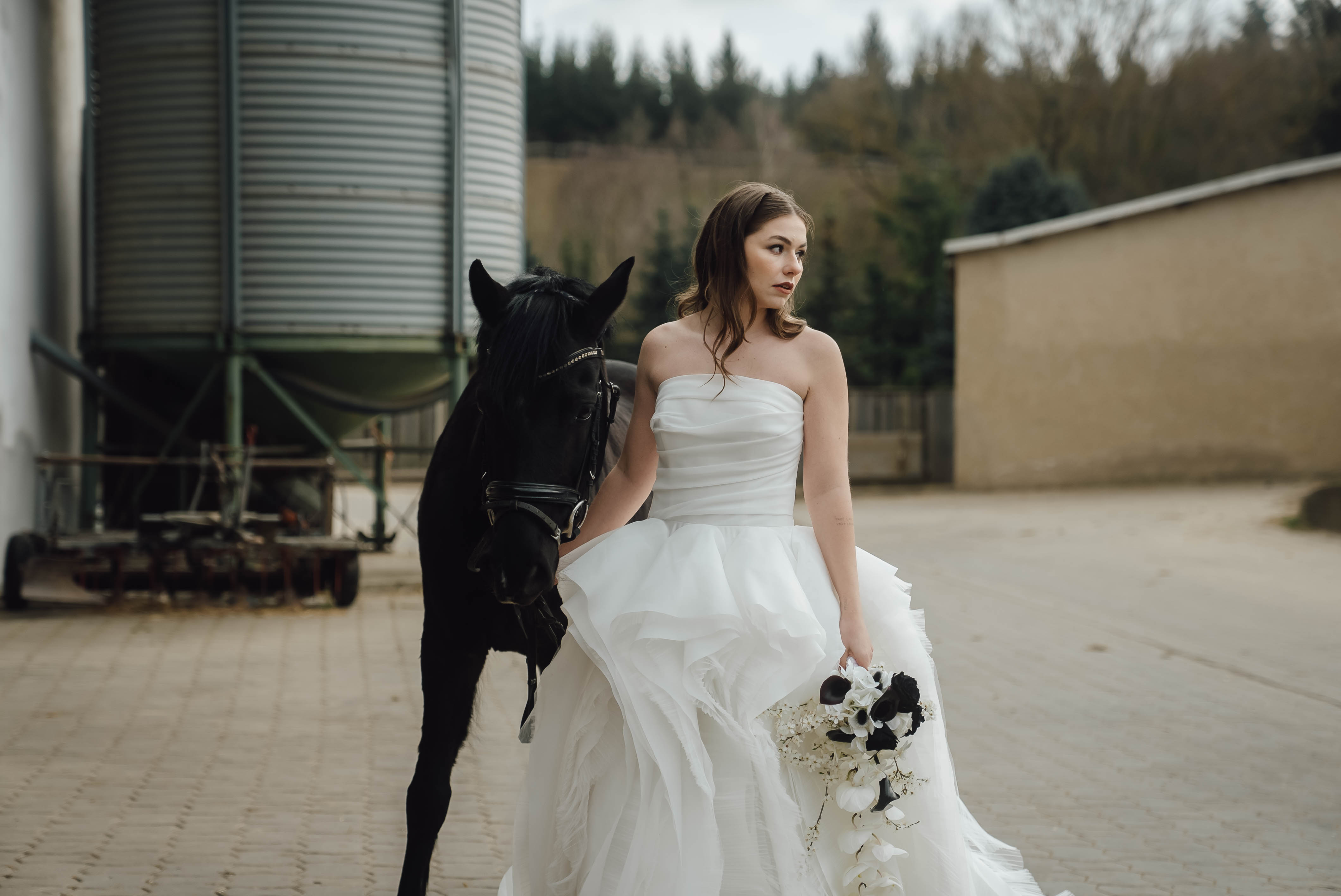 Heiraten mit Pferd 245 Heiraten mit Pferd 245