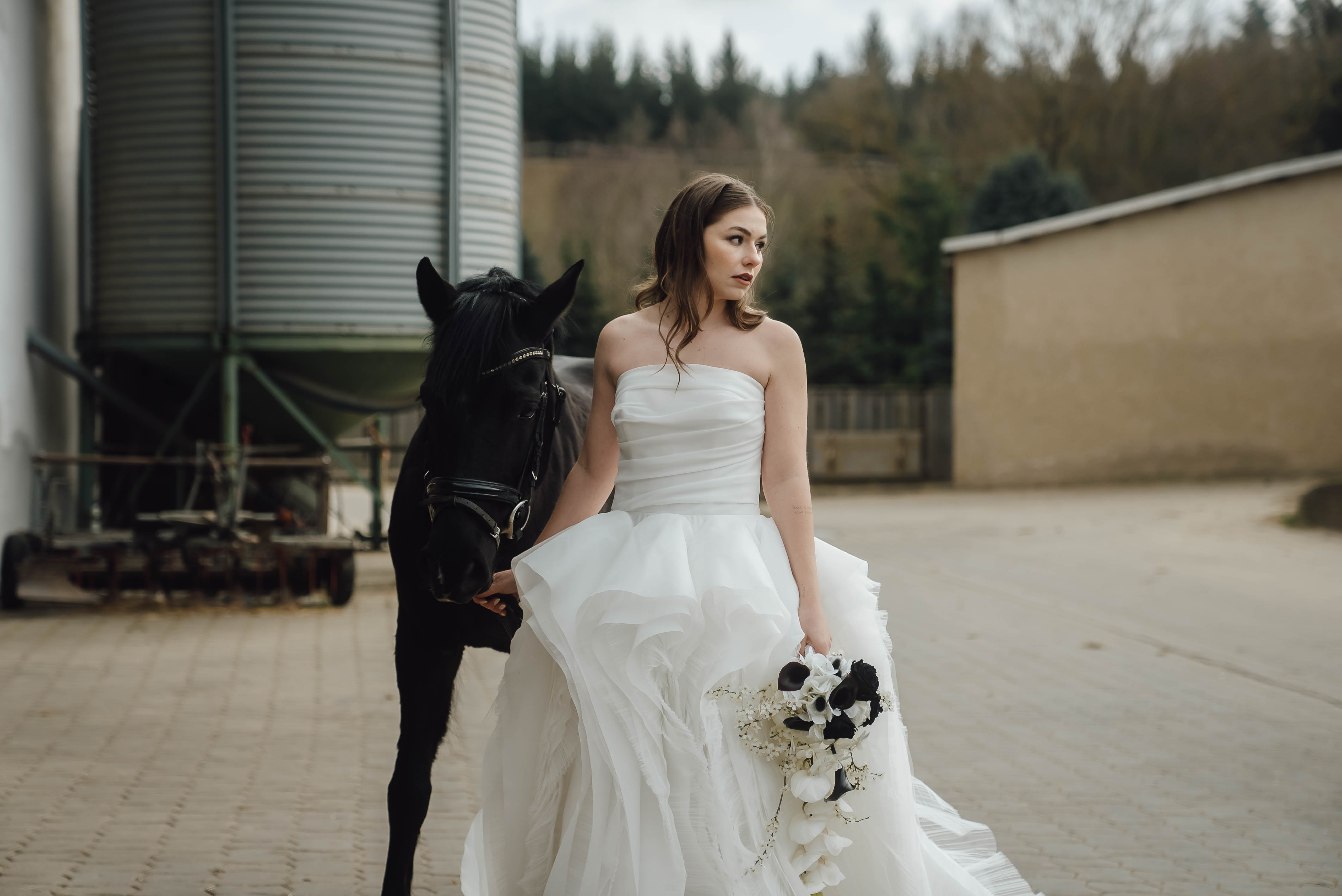 Heiraten mit Pferd 246 Heiraten mit Pferd 246