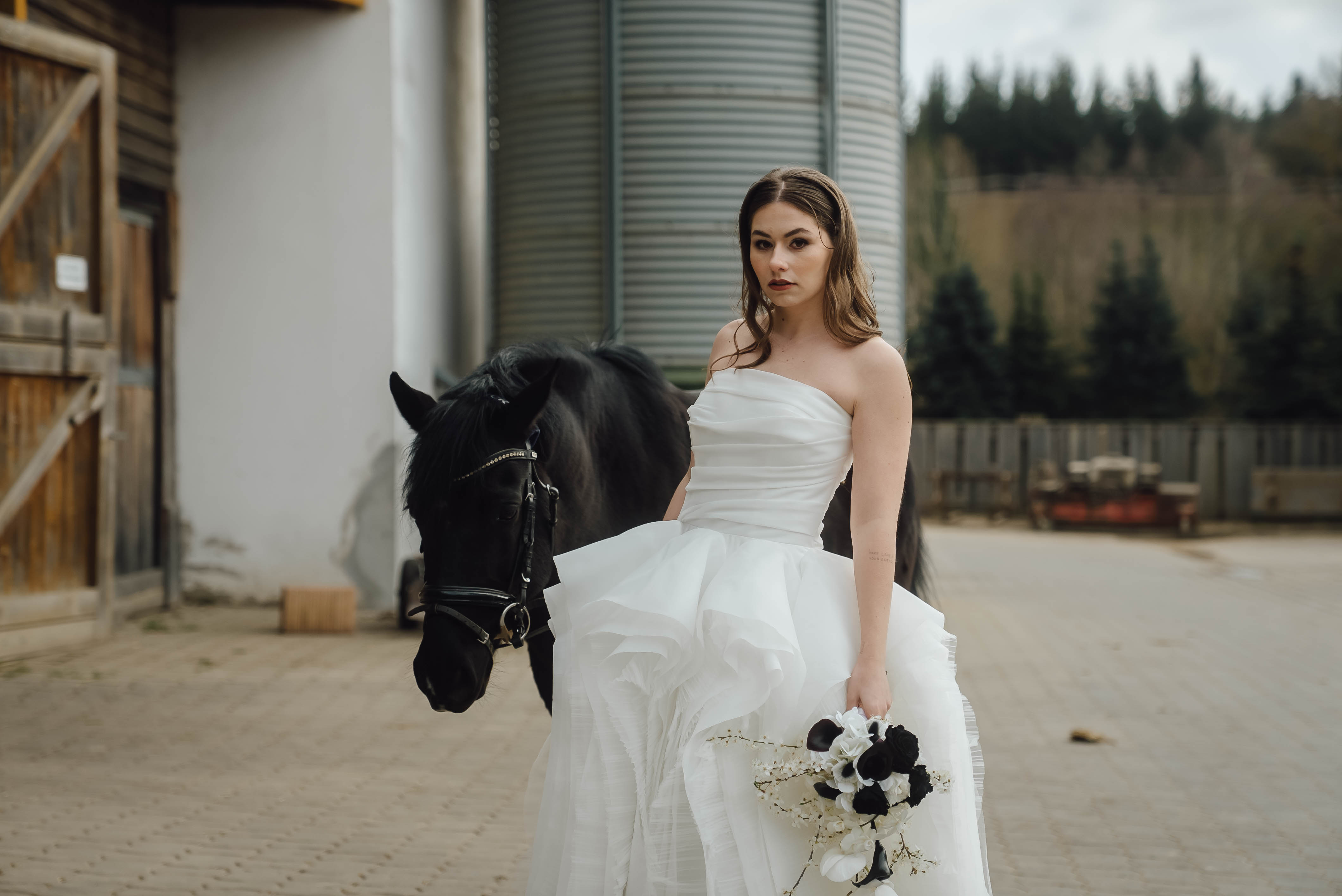 Heiraten mit Pferd 248 Heiraten mit Pferd 248