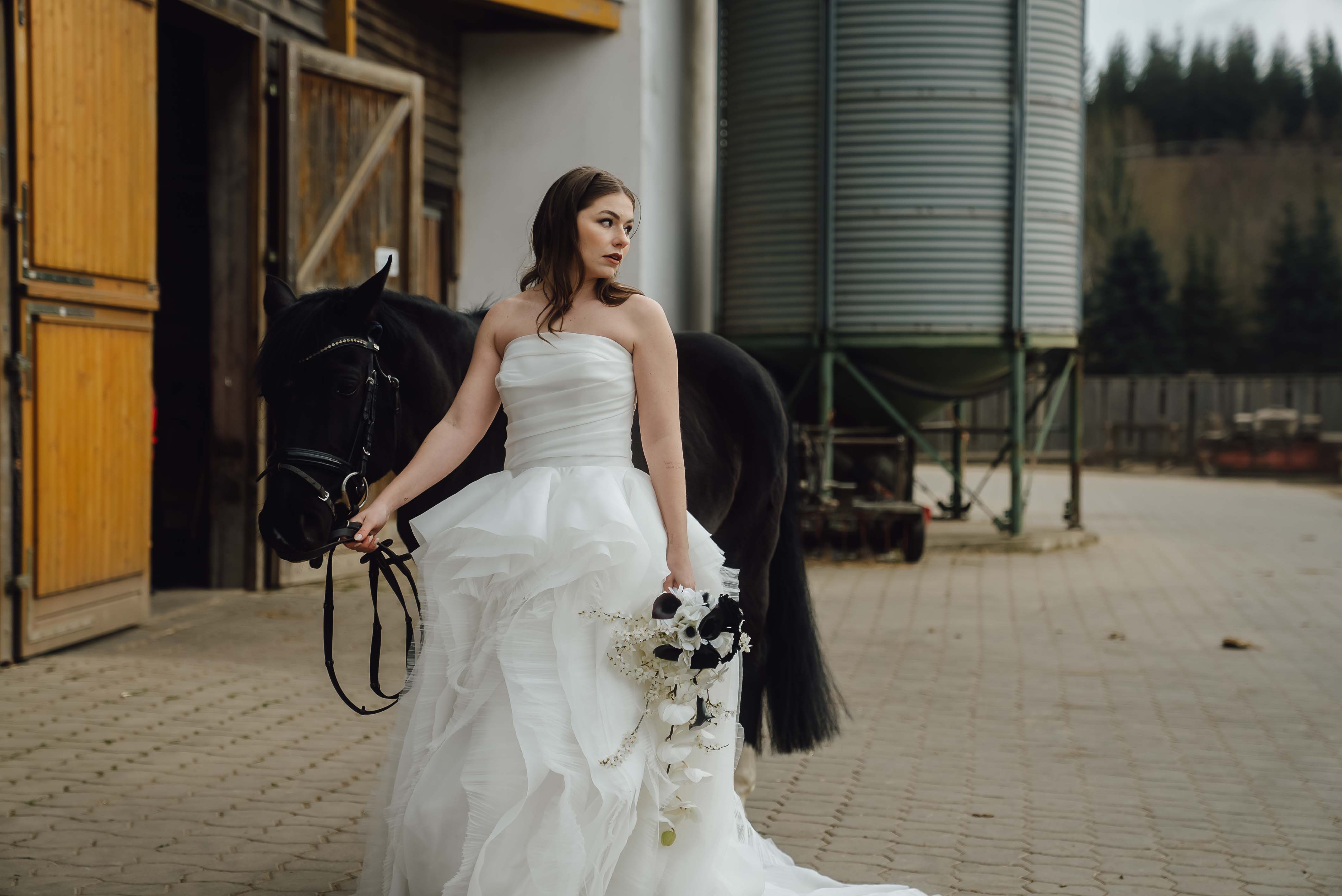 Heiraten mit Pferd 249 Heiraten mit Pferd 249