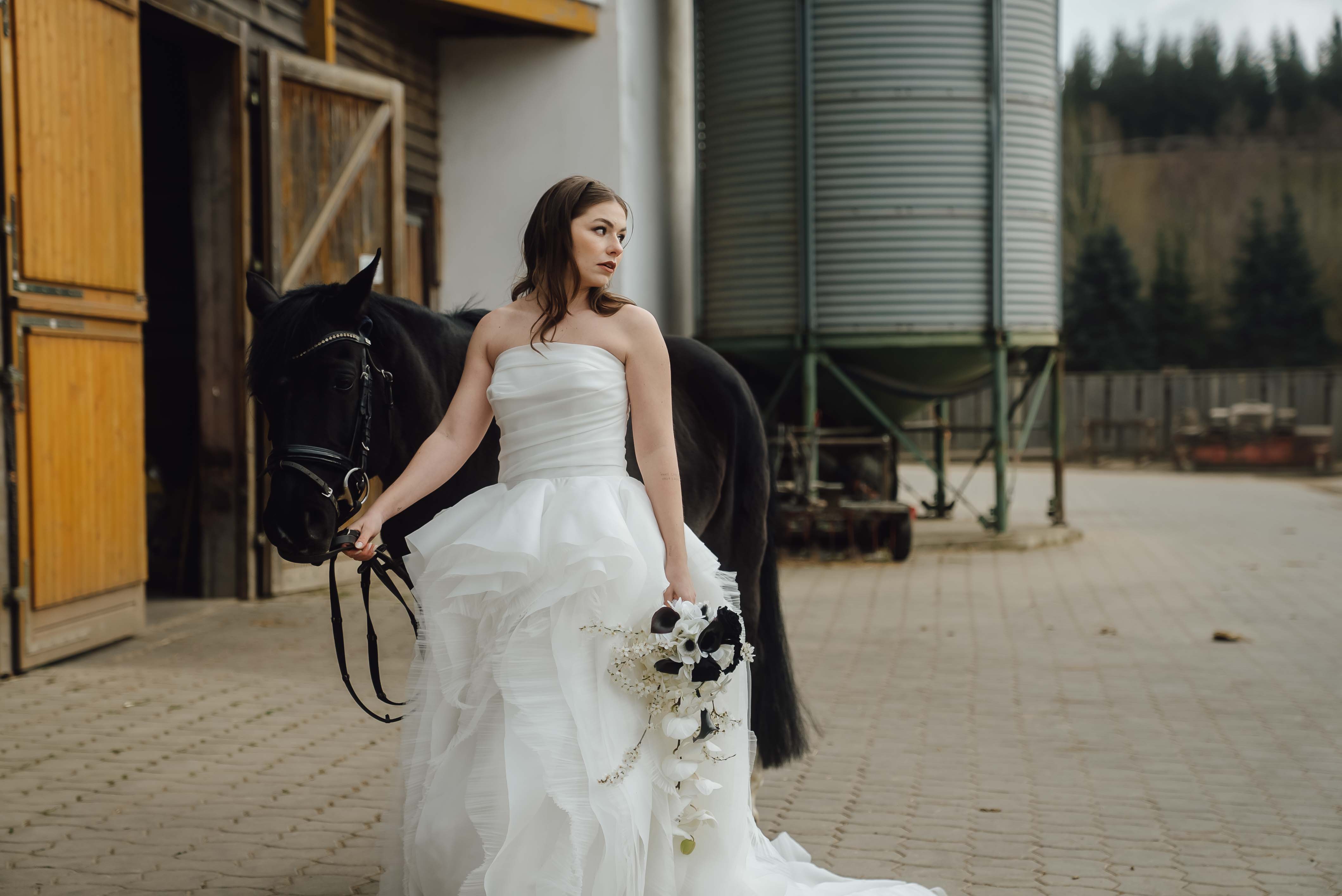 Heiraten mit Pferd 250 Heiraten mit Pferd 250