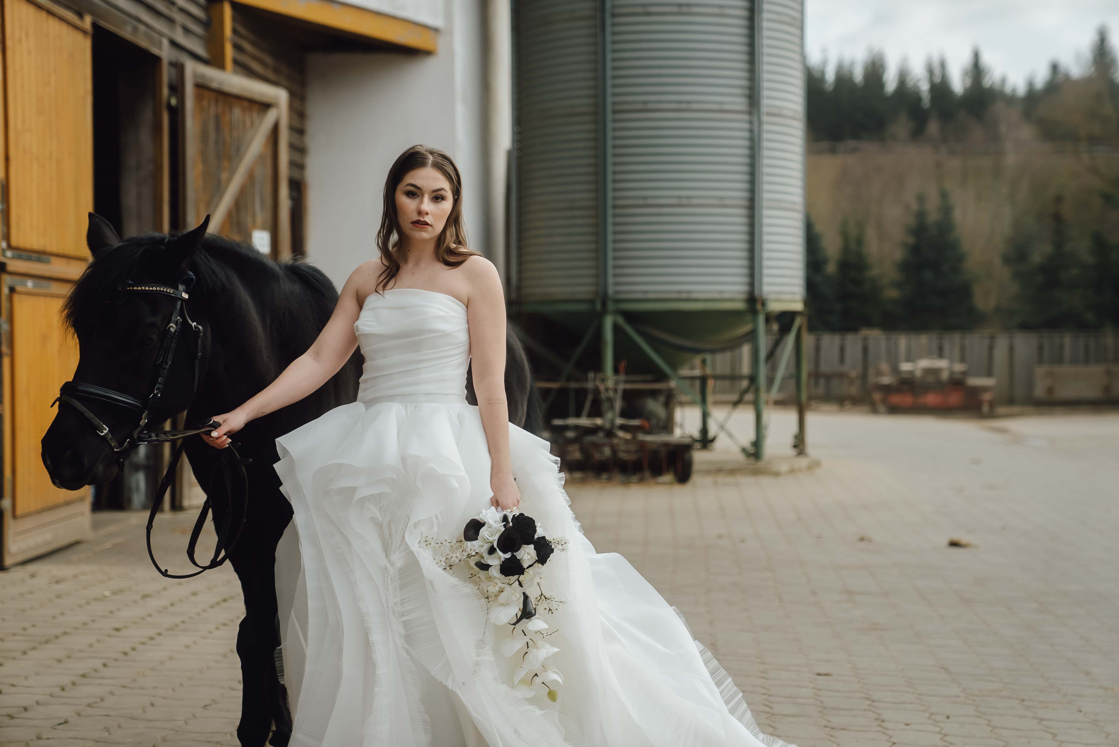 Heiraten mit Pferd 251 Heiraten mit Pferd 251