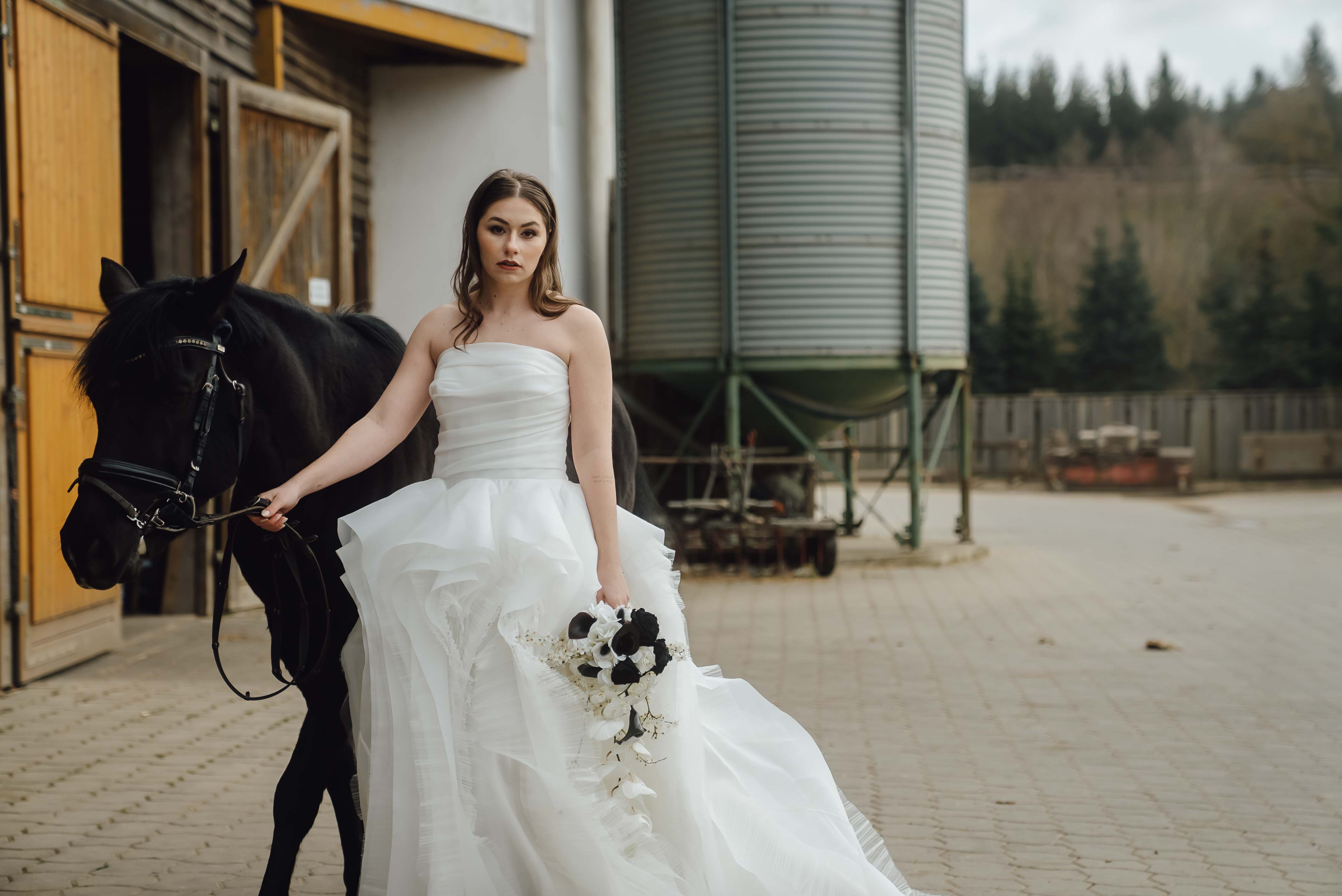 Heiraten mit Pferd 252 Heiraten mit Pferd 252