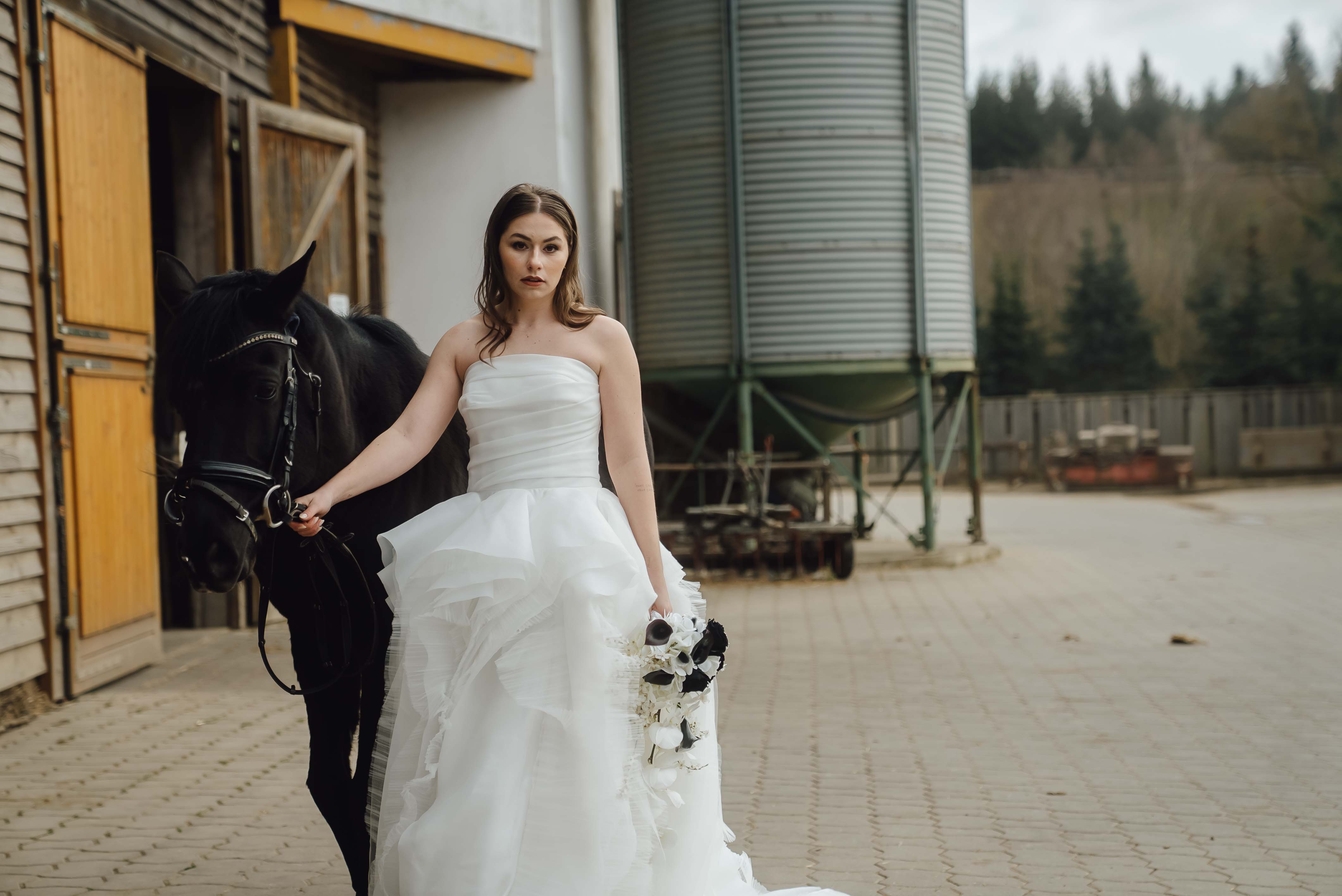 Heiraten mit Pferd 253 Heiraten mit Pferd 253