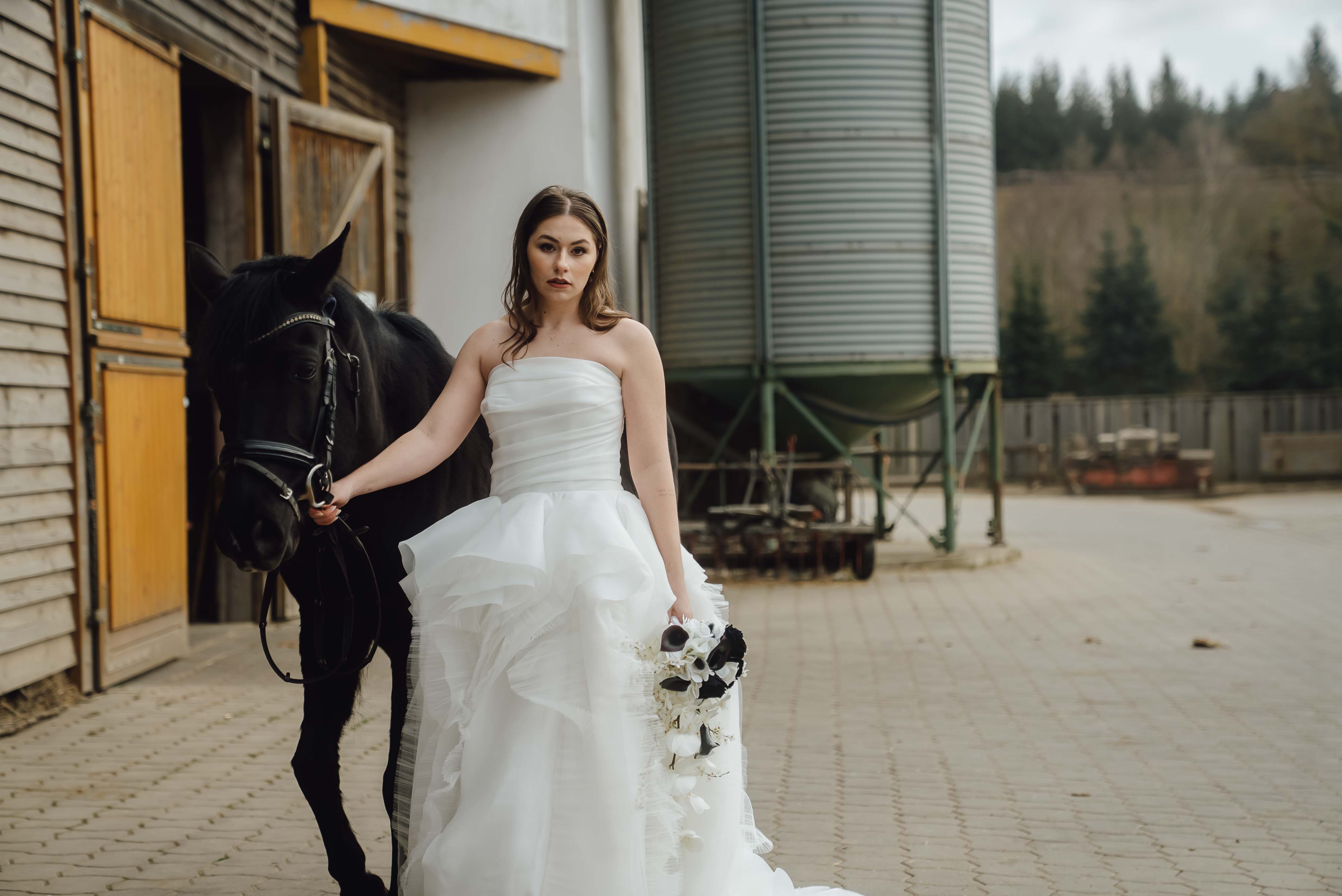 Heiraten mit Pferd 254 Heiraten mit Pferd 254
