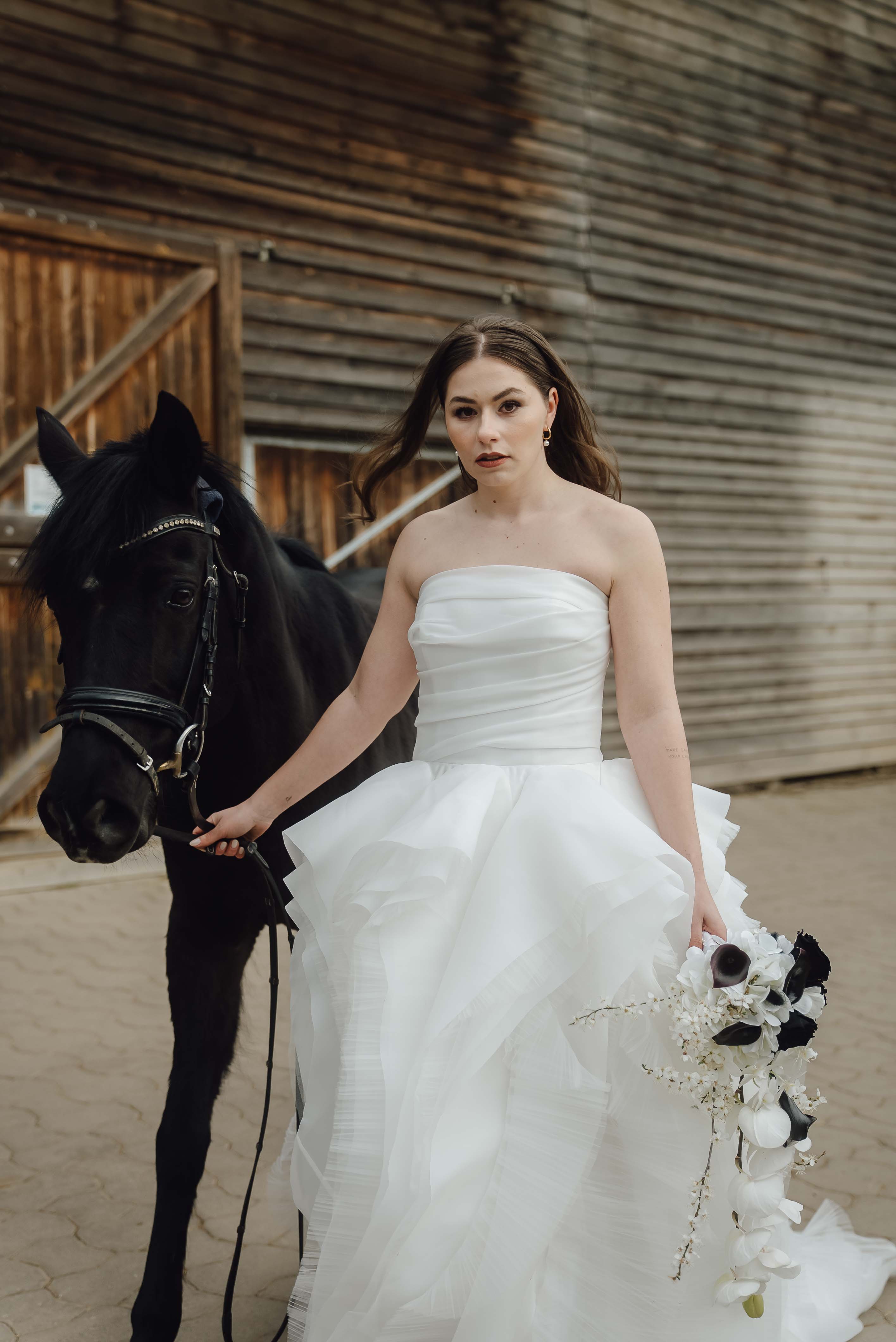 Heiraten mit Pferd 263 Heiraten mit Pferd 263