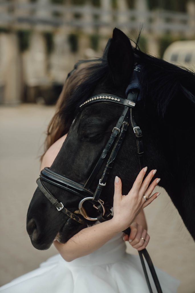 Heiraten mit Pferd 264