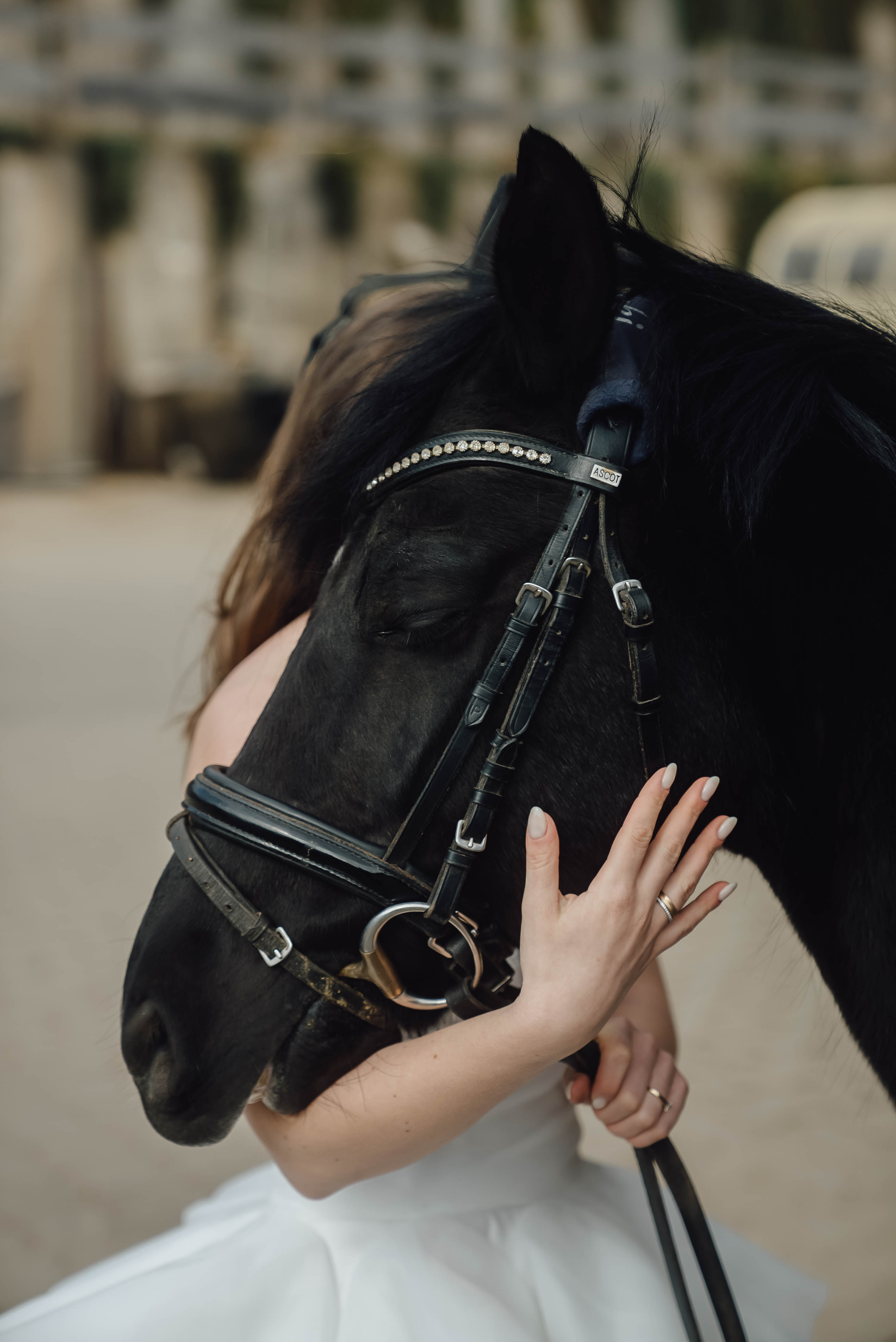 Heiraten mit Pferd 264 Heiraten mit Pferd 264
