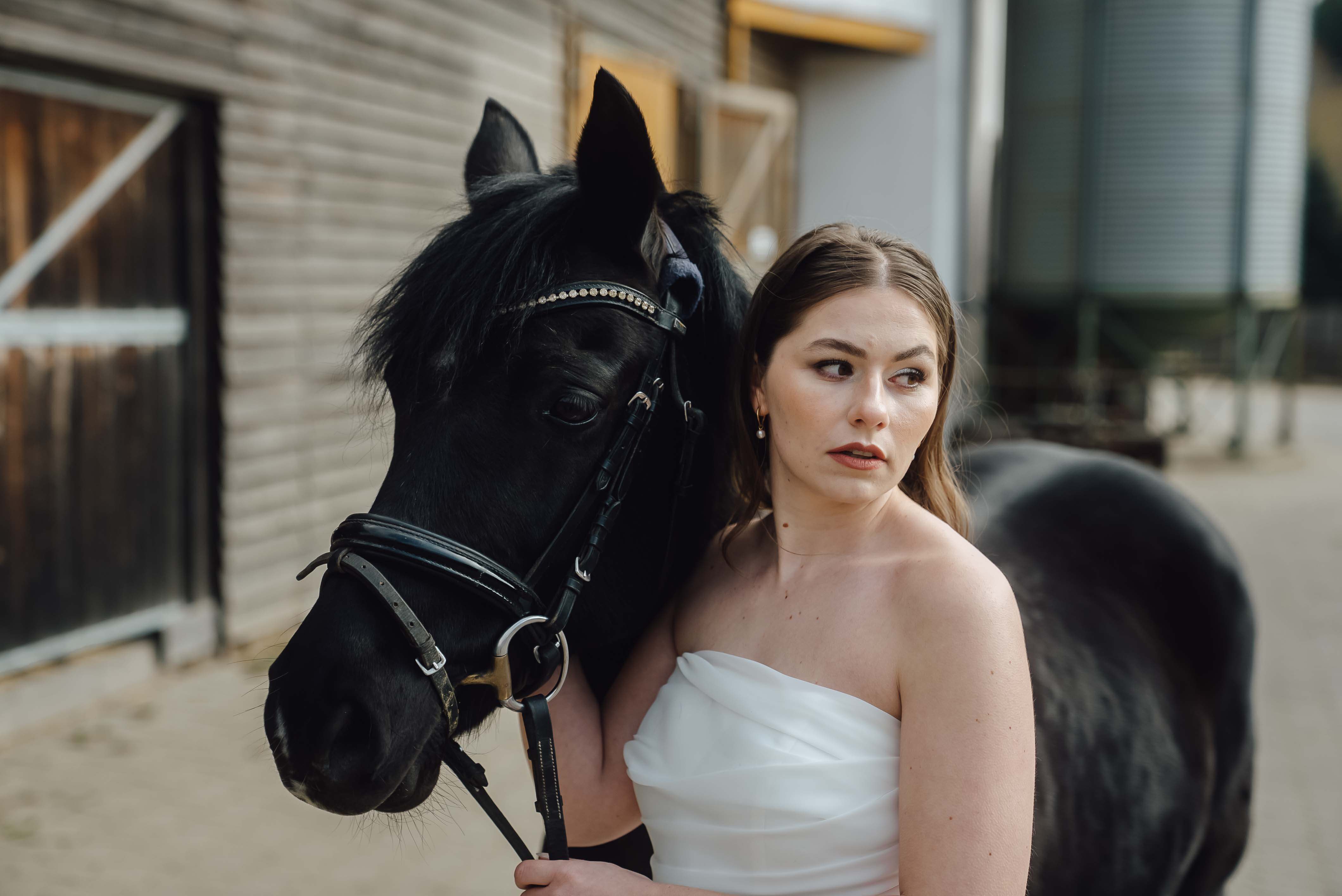 Heiraten mit Pferd 271 Heiraten mit Pferd 271