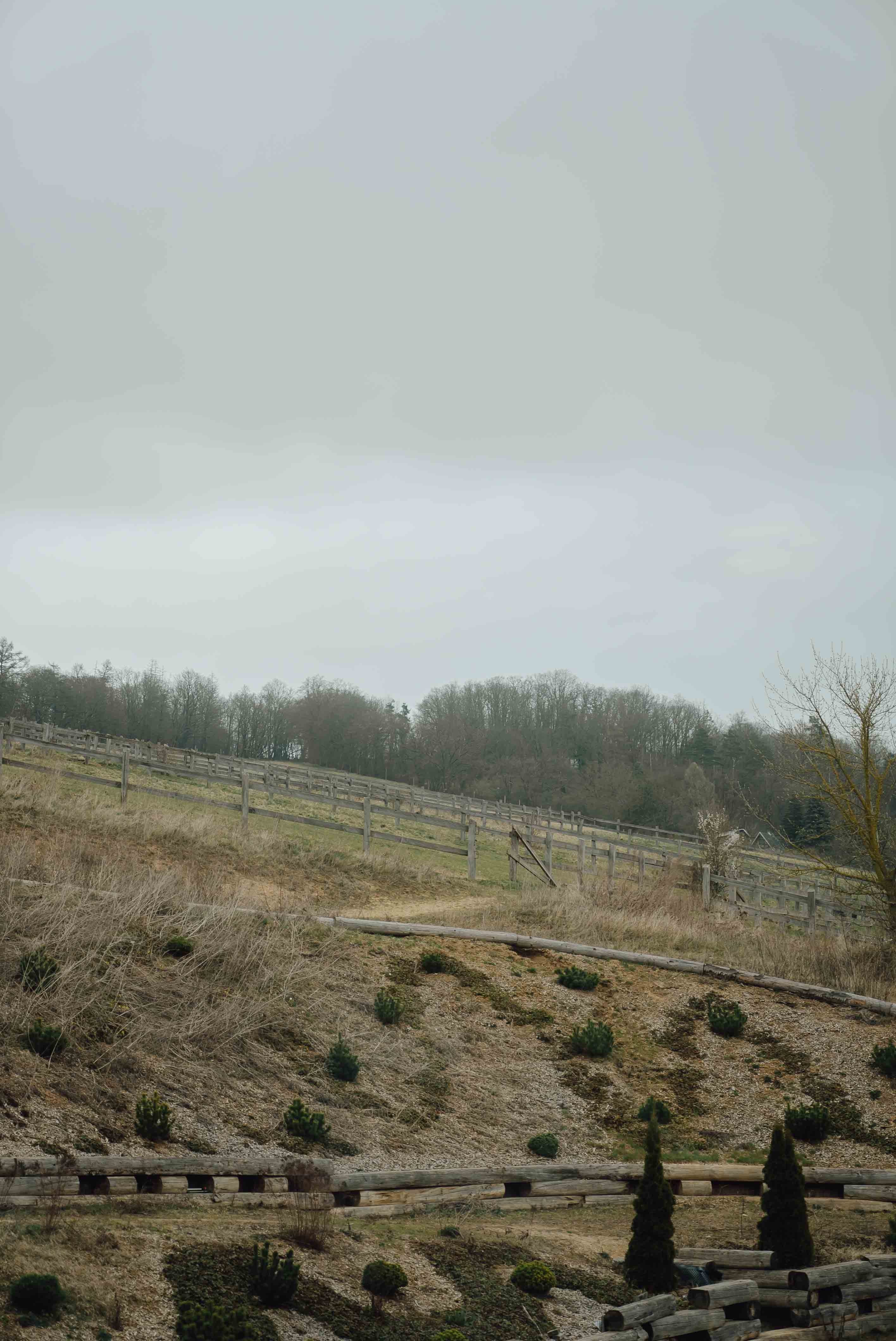 Heiraten mit Pferd 47 Heiraten mit Pferd 47