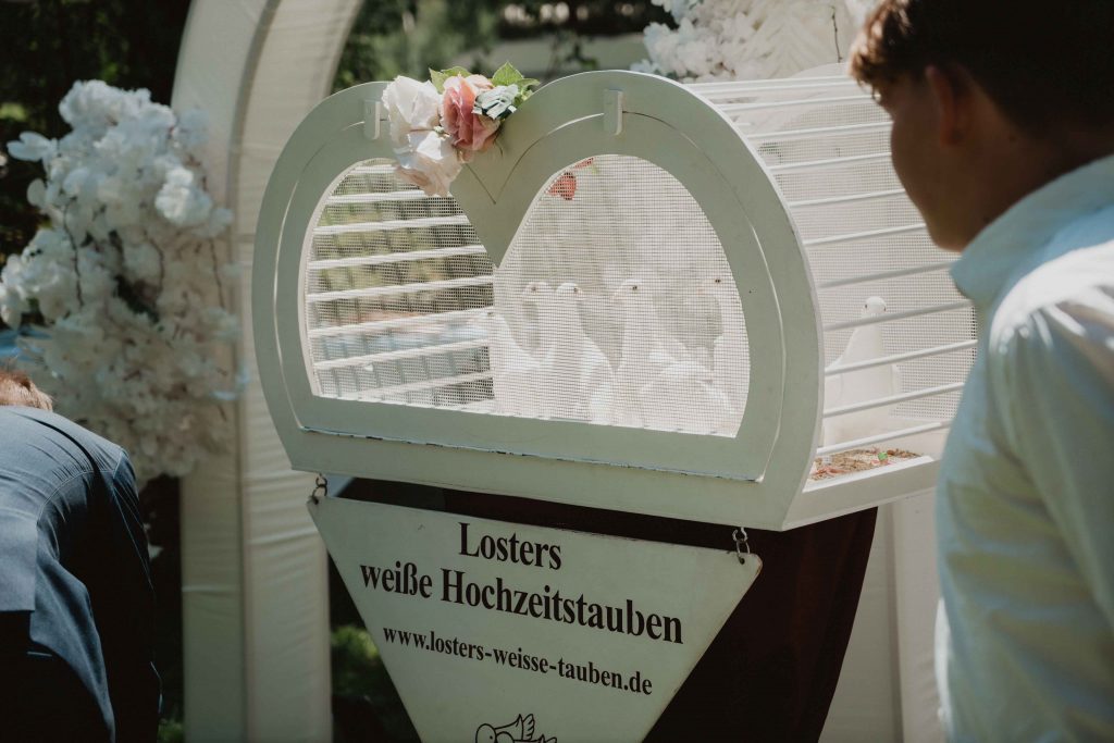 Hochzeit im Forsthaus Sommerswalde DSC06753