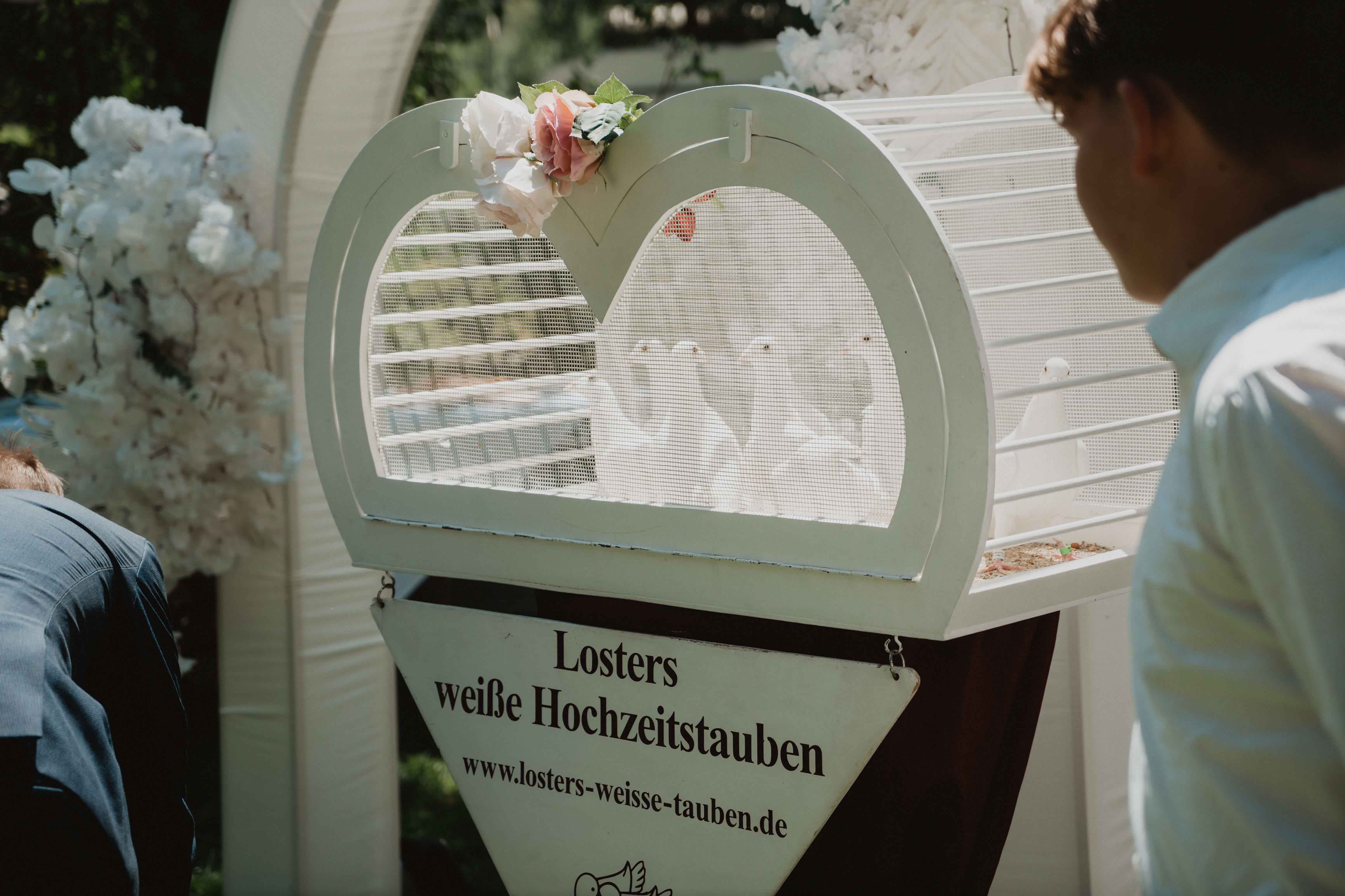 Hochzeit im Forsthaus Sommerswalde DSC06753 Hochzeit im Forsthaus Sommerswalde DSC06753