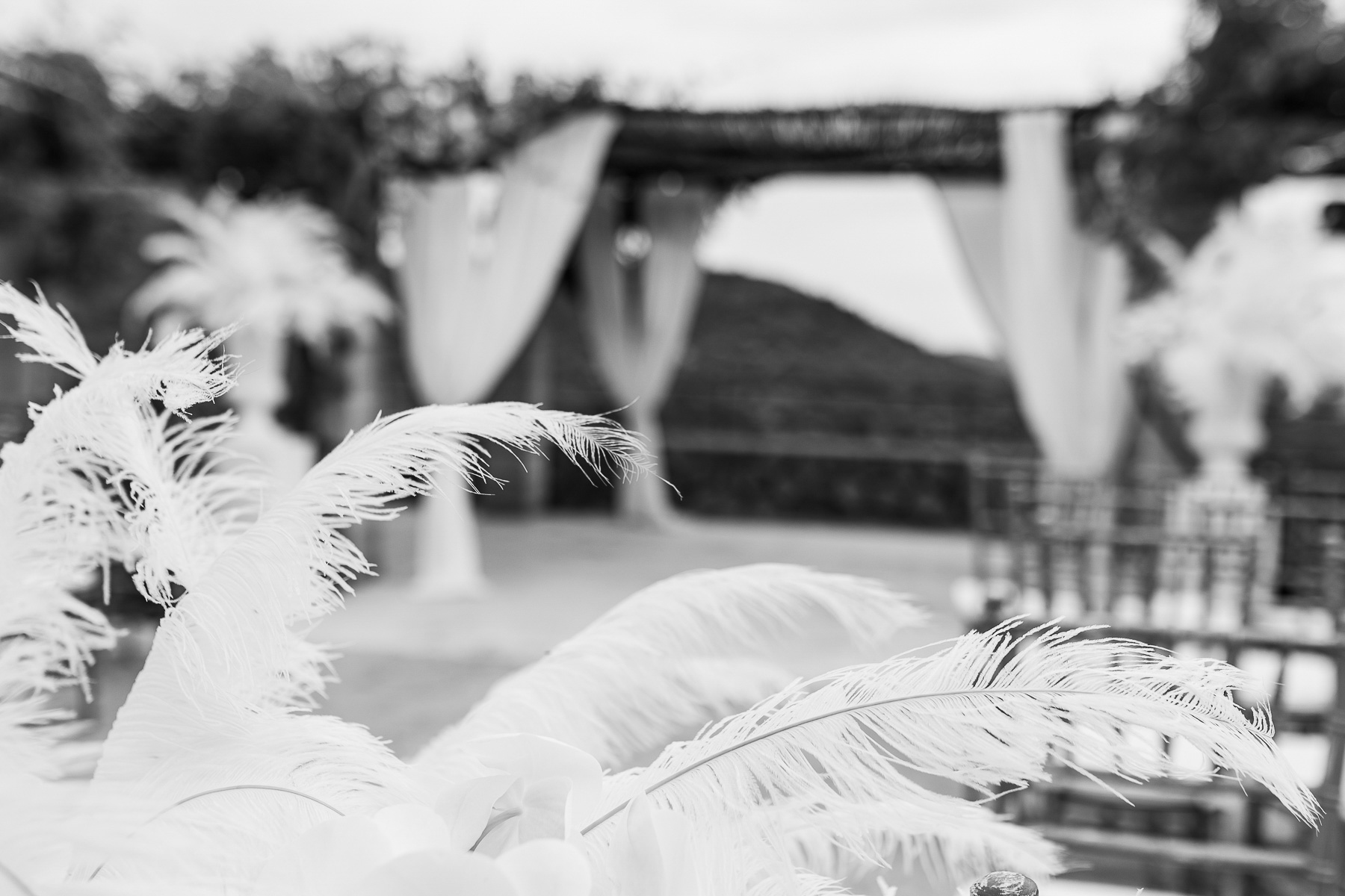 Hochzeit in Finca Ses Voltes Mallorca Sarah & Japer 6 Hochzeit in Finca Ses Voltes Mallorca Sarah & Japer 6
