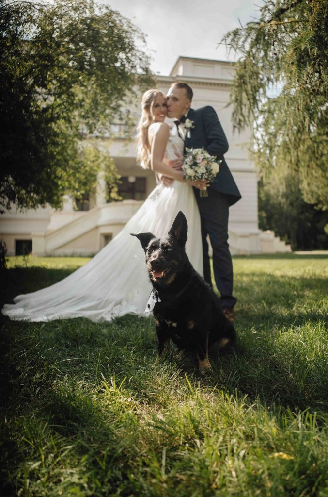 Plan B für die Hochzeit Heiraten trotz Regen 424