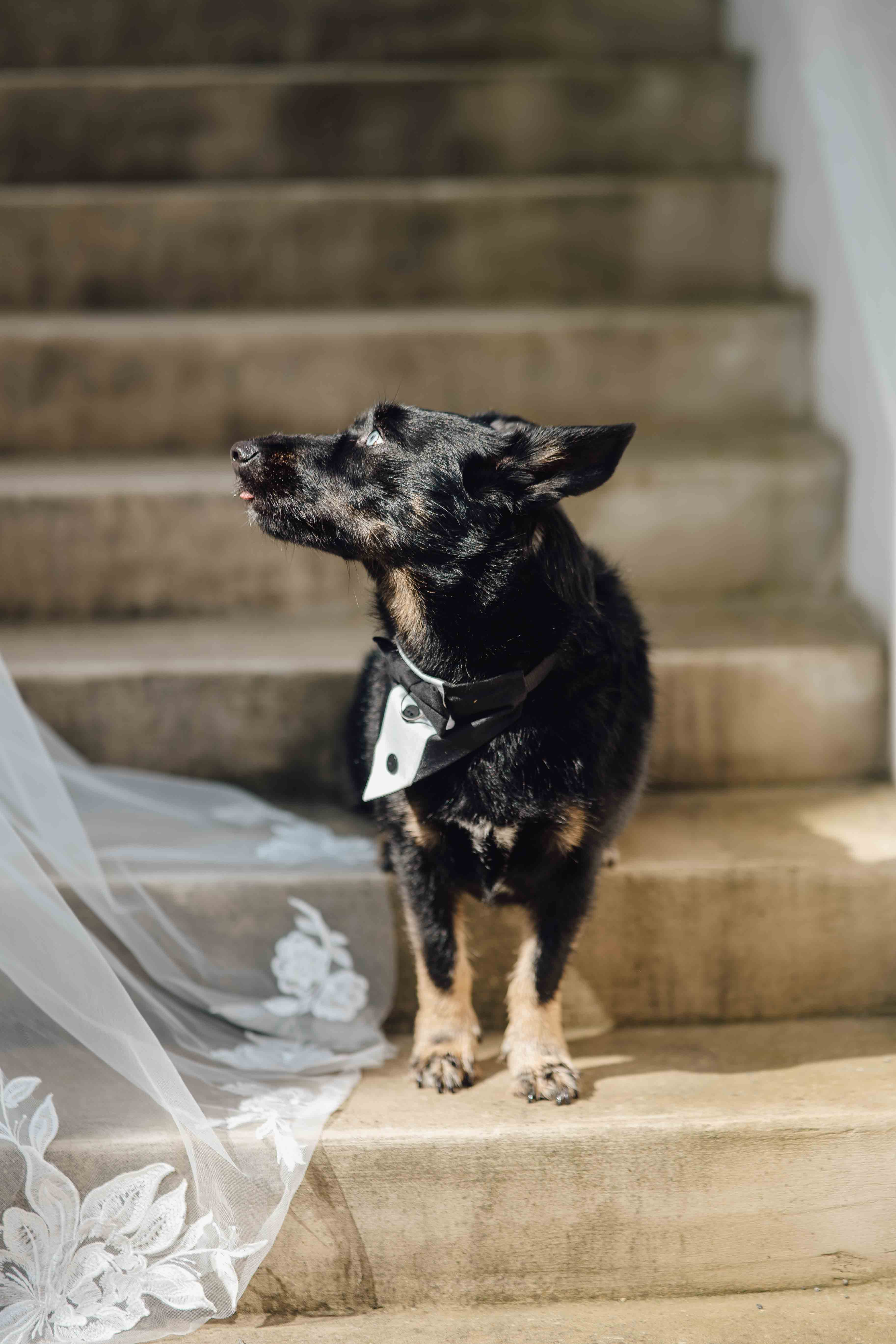 Heiraten im Forsthaus am Schloss Sommerswalde 432