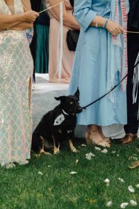 Hochzeit im Forsthaus am Schloss Sommerswalde 302