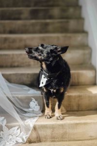 Hochzeit im Forsthaus am Schloss Sommerswalde 432