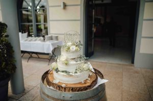 Hochzeit im Weingut Mussler Bissersheim 287