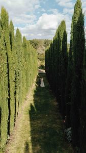 Hochzeit im Weingut Mussler Bissersheim 362