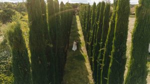 Hochzeit im Weingut Mussler Bissersheim 364