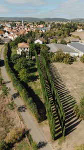 Hochzeit im Weingut Mussler Bissersheim 39