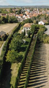 Hochzeit im Weingut Mussler Bissersheim 40