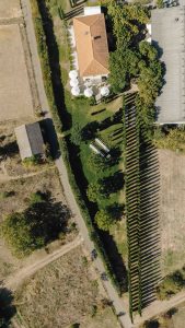 Hochzeit im Weingut Mussler Bissersheim 42