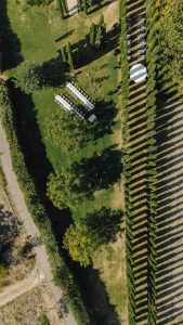 Hochzeit im Weingut Mussler Bissersheim 43